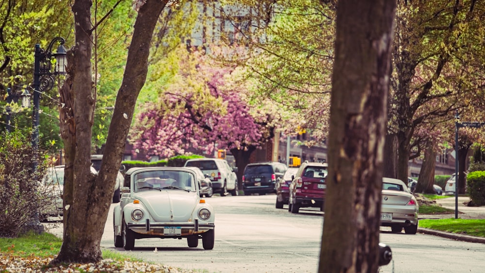 a small car driving down a tree lined street