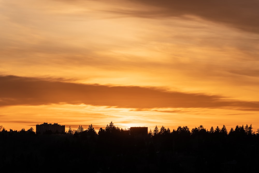 the sun is setting over the trees in the distance