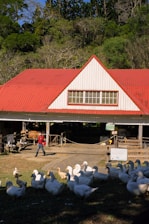 alt=Soluções para Lojas Agropecuárias