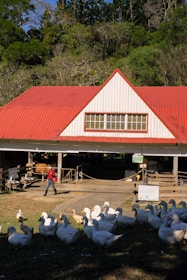 alt=Soluções para Lojas Agropecuárias