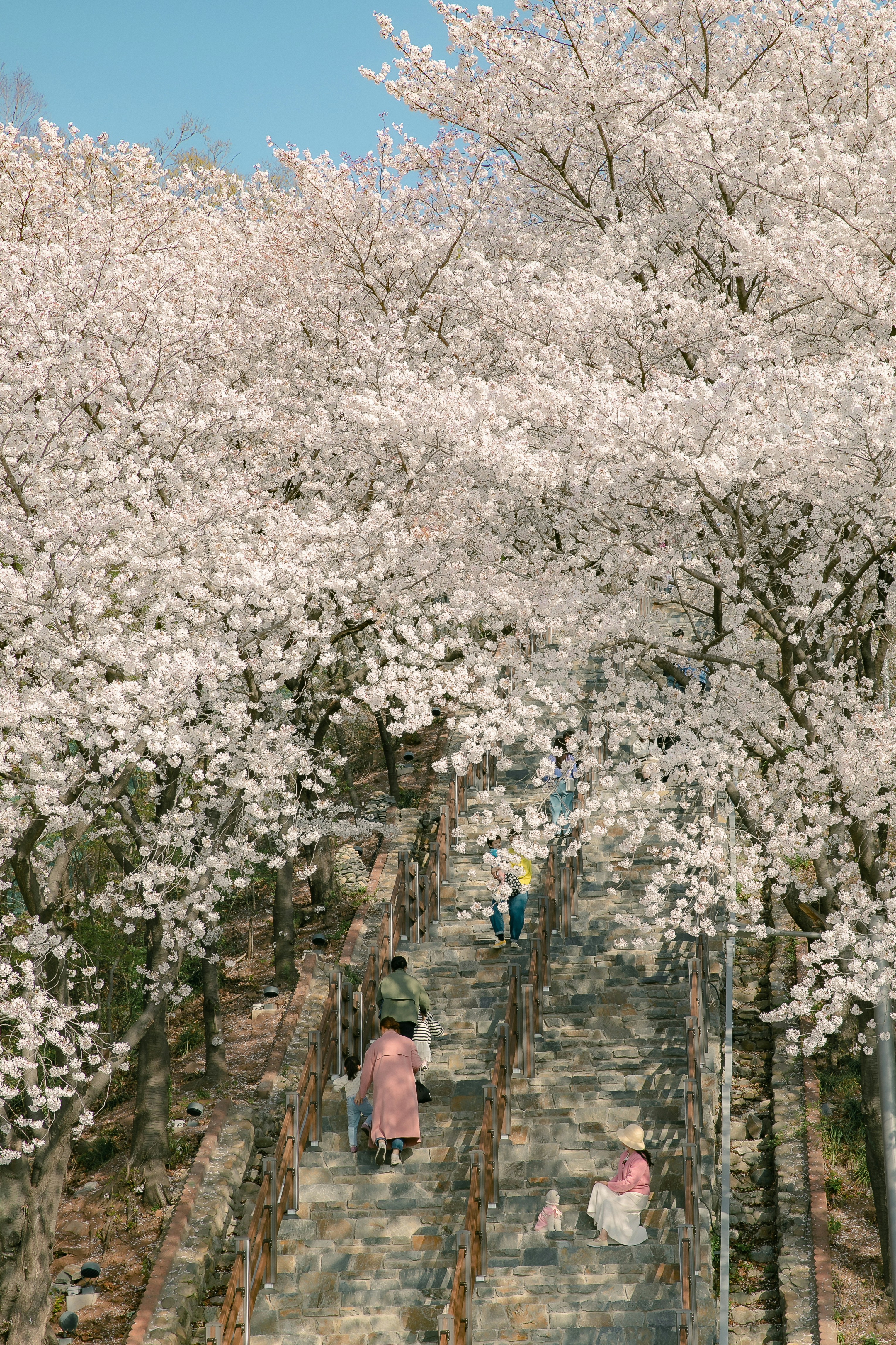 Photo by paipai90