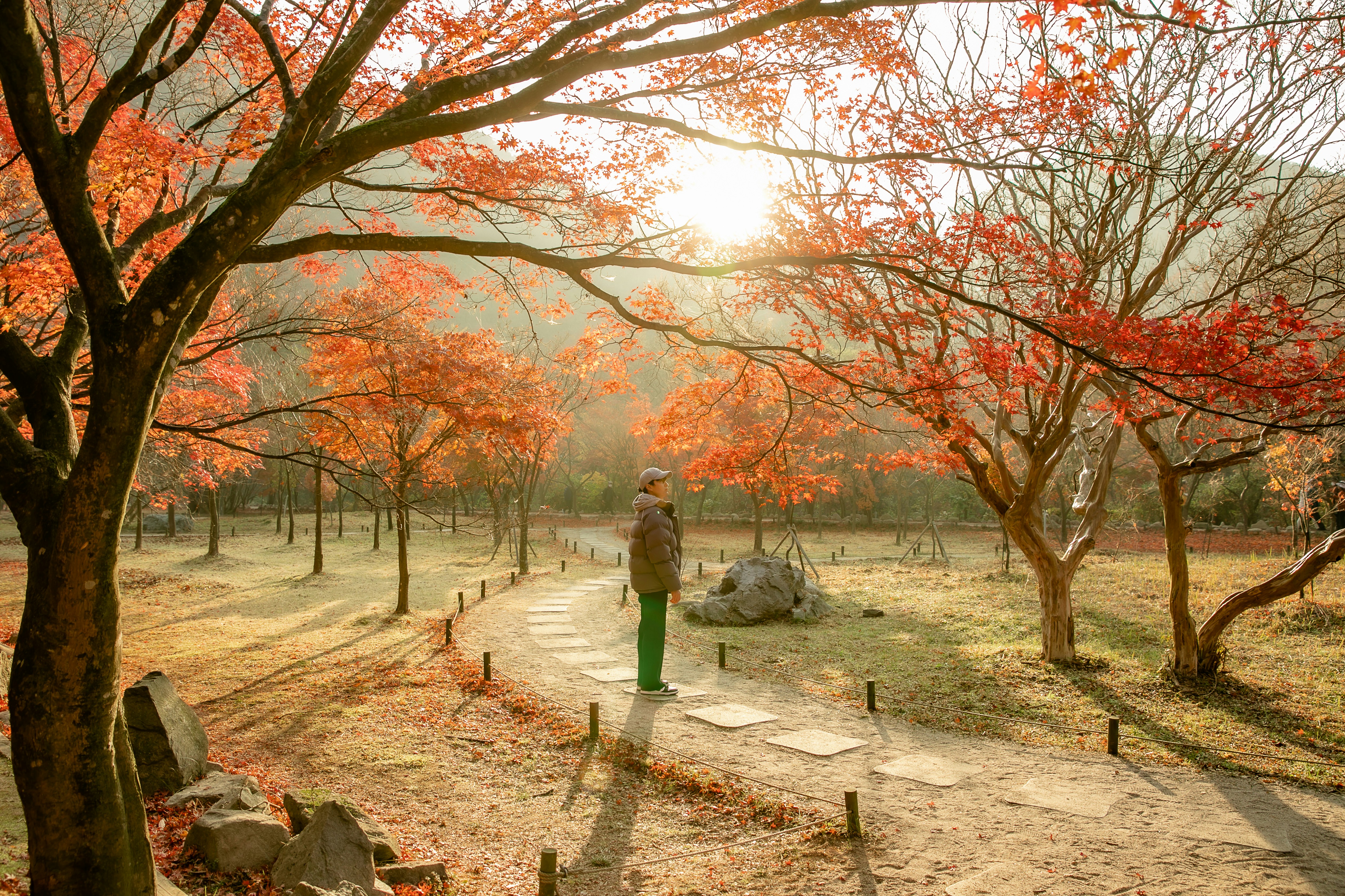 a person standing on a path surrounded by trees