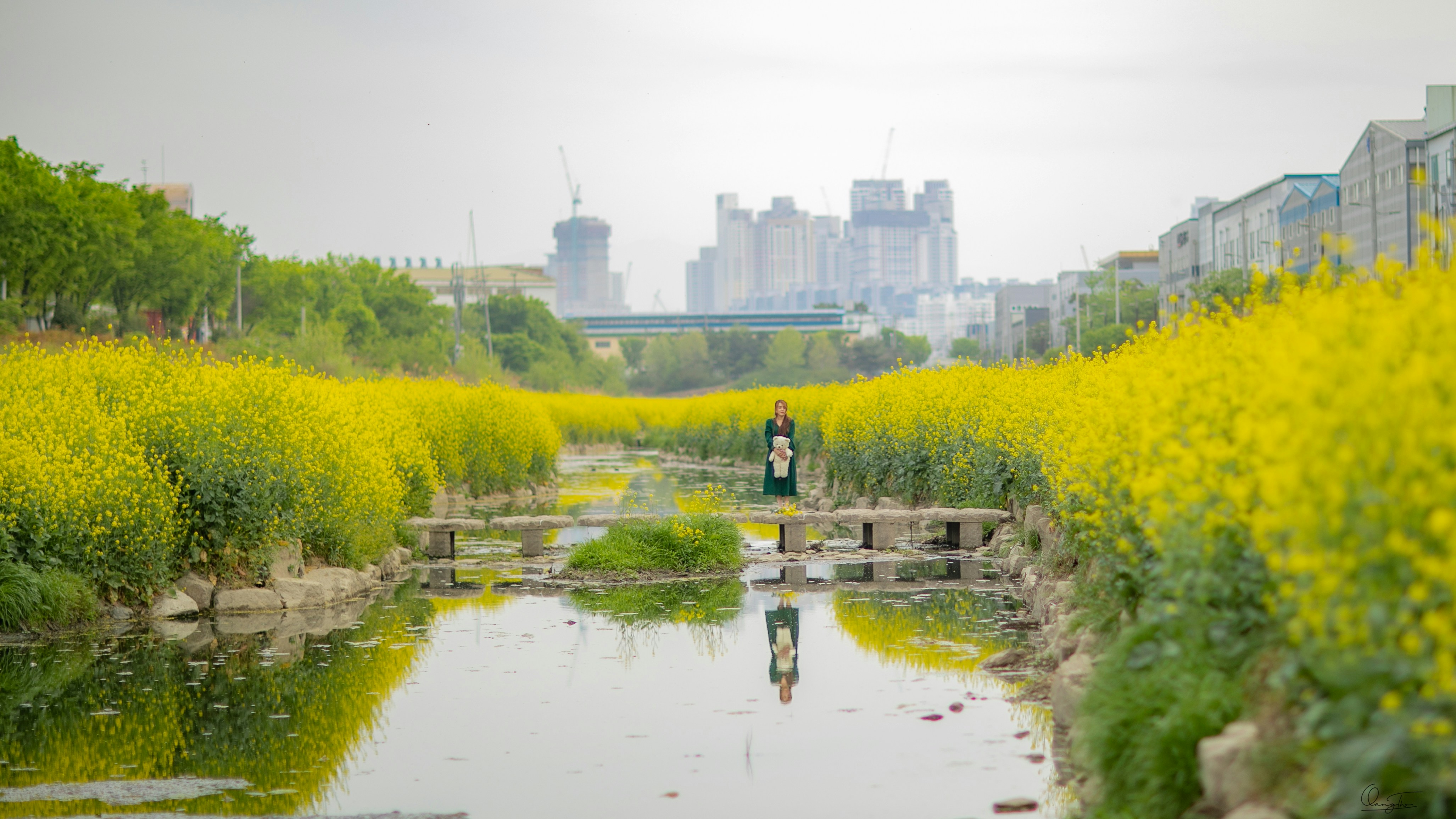 a couple of people standing in the middle of a field