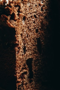 Close-up photo of a concrete pastelón with a textured surface in warm earthy tones.