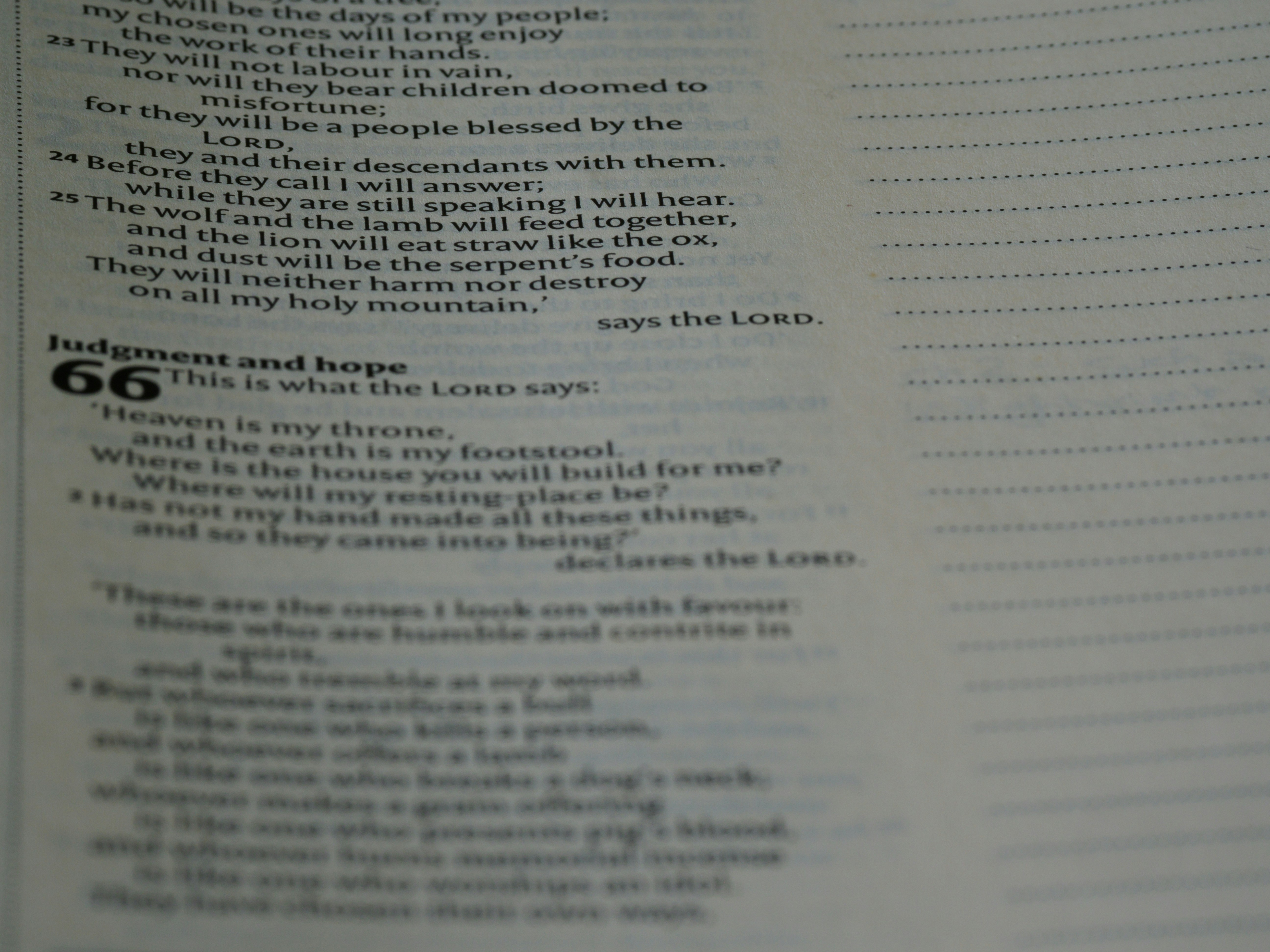 Photo by brett_jordan