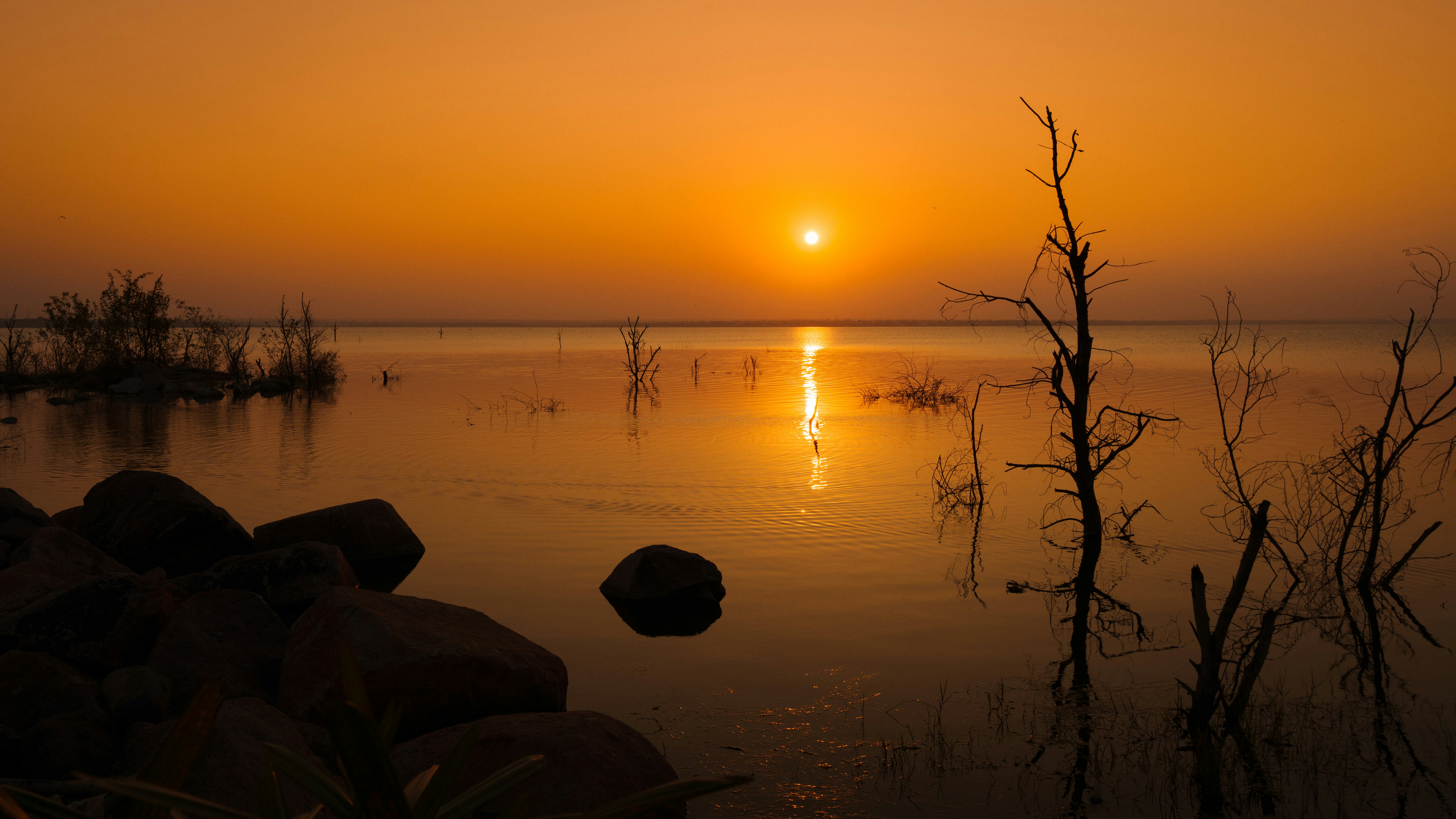 Photo by subhadeep57