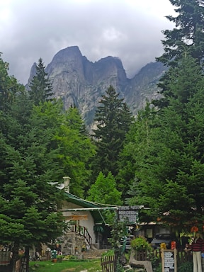 A picturesque mountain scene with towering rocky peaks shrouded in clouds in the background. In the foreground, lush green coniferous trees frame a small, rustic building with a stone foundation and wooden elements. Signage in a foreign script is visible, and various ornamental plants and decorations add charm to the dwelling. The overall setting suggests a peaceful, nature-centered environment.