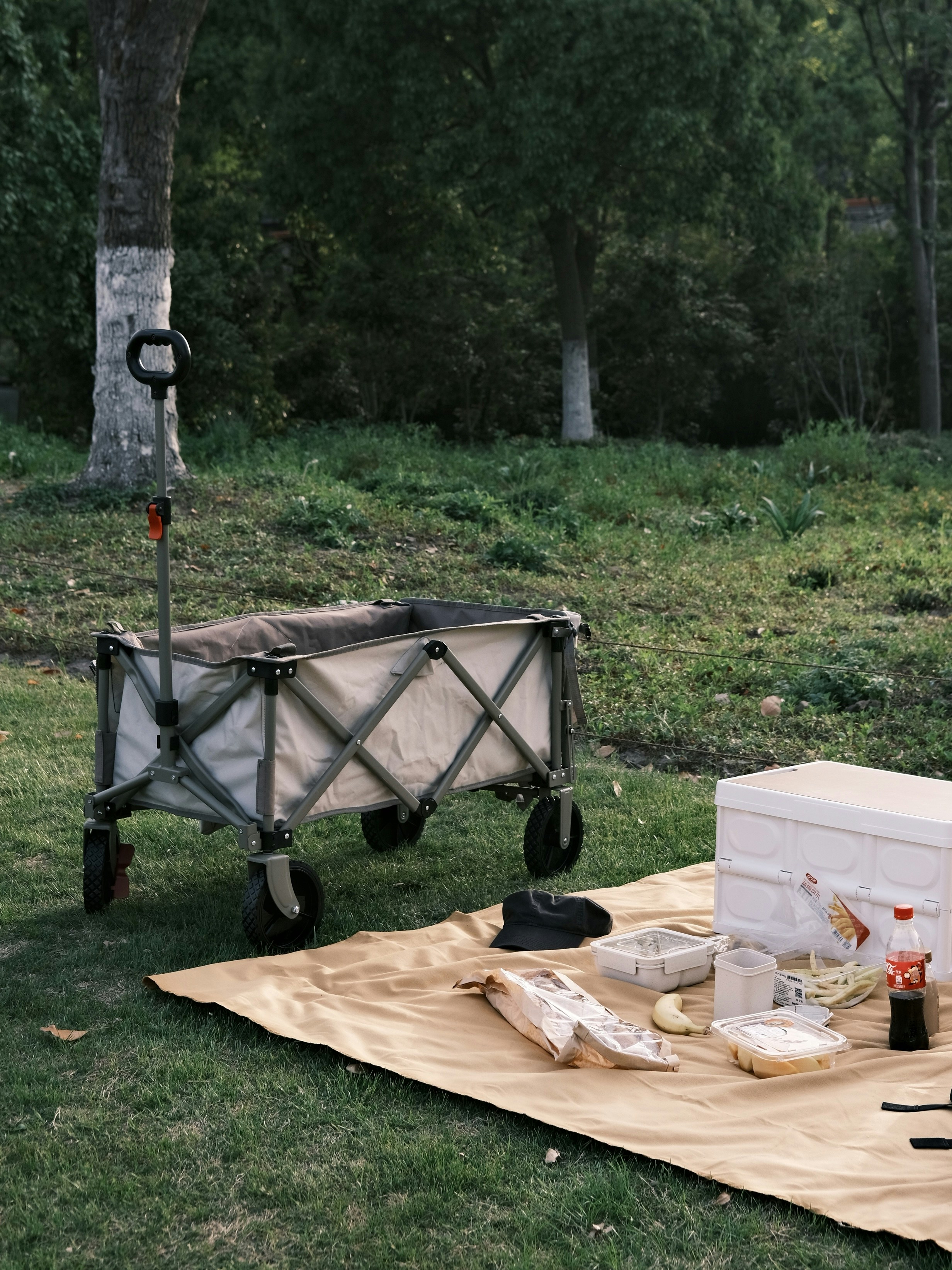 a picnic set up with a cooler and other items