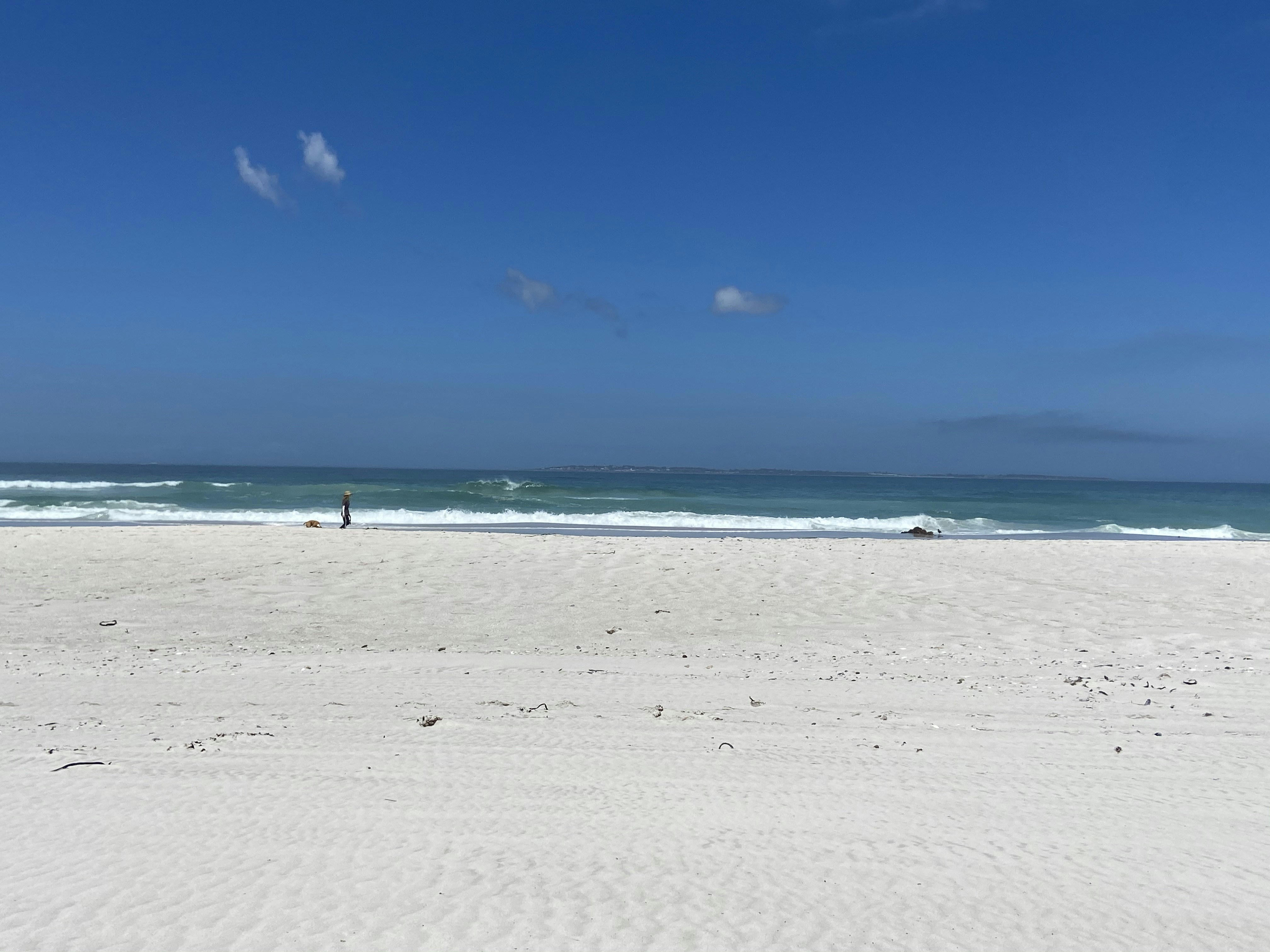 Beach Box Essentials