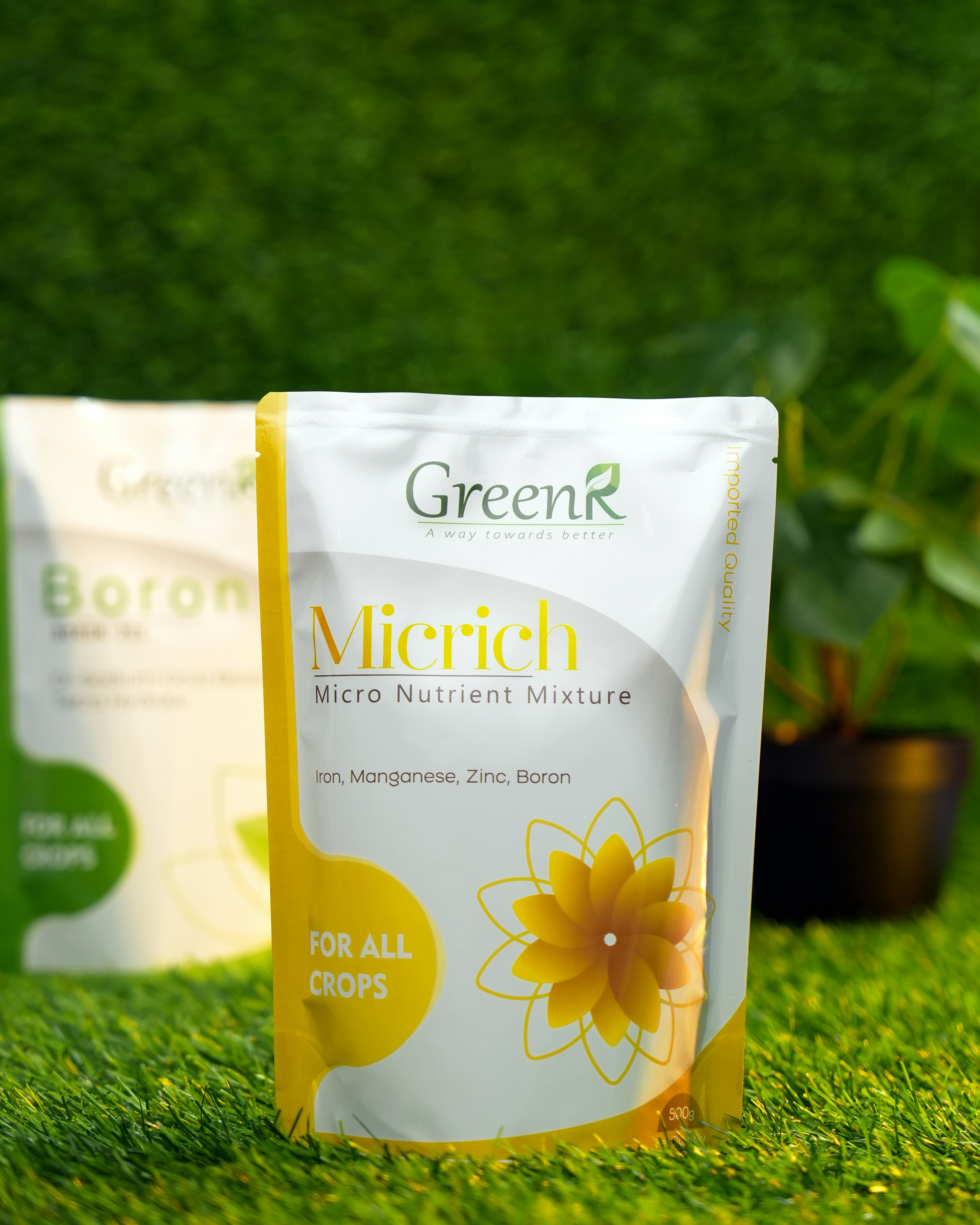 a bag of green tea sitting on top of a lush green field