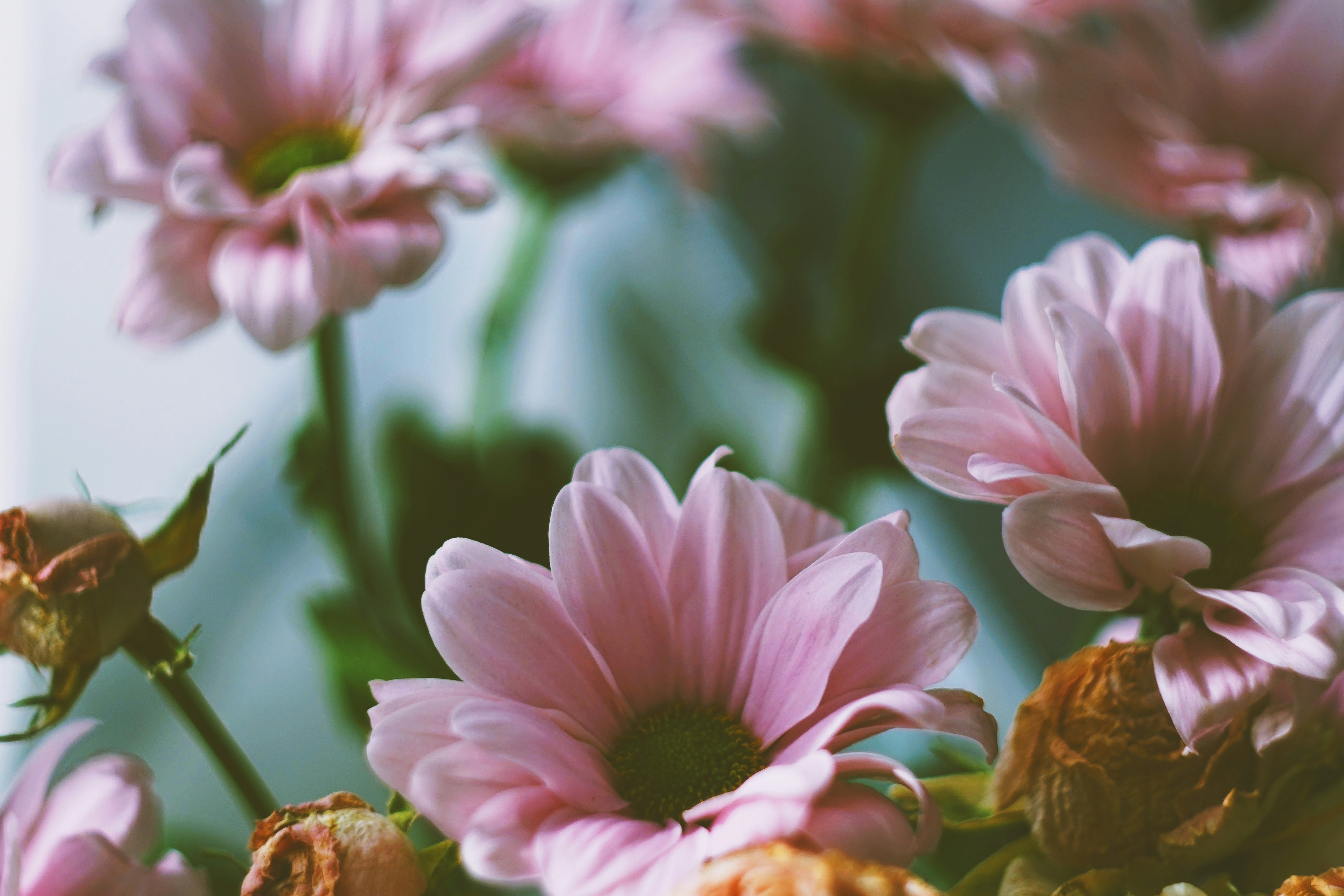 Photo by arth_medusa