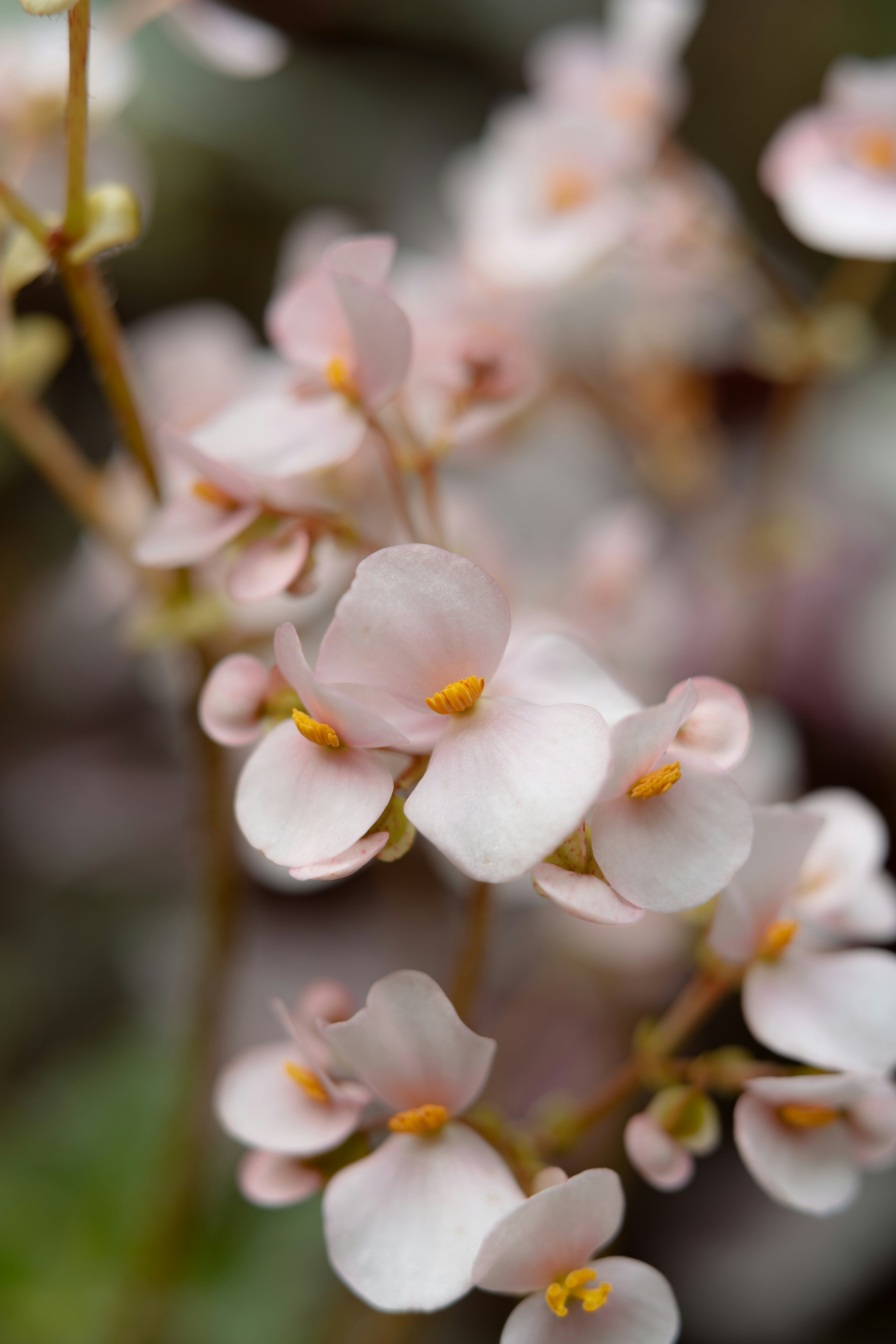 Photo by anamnesis33