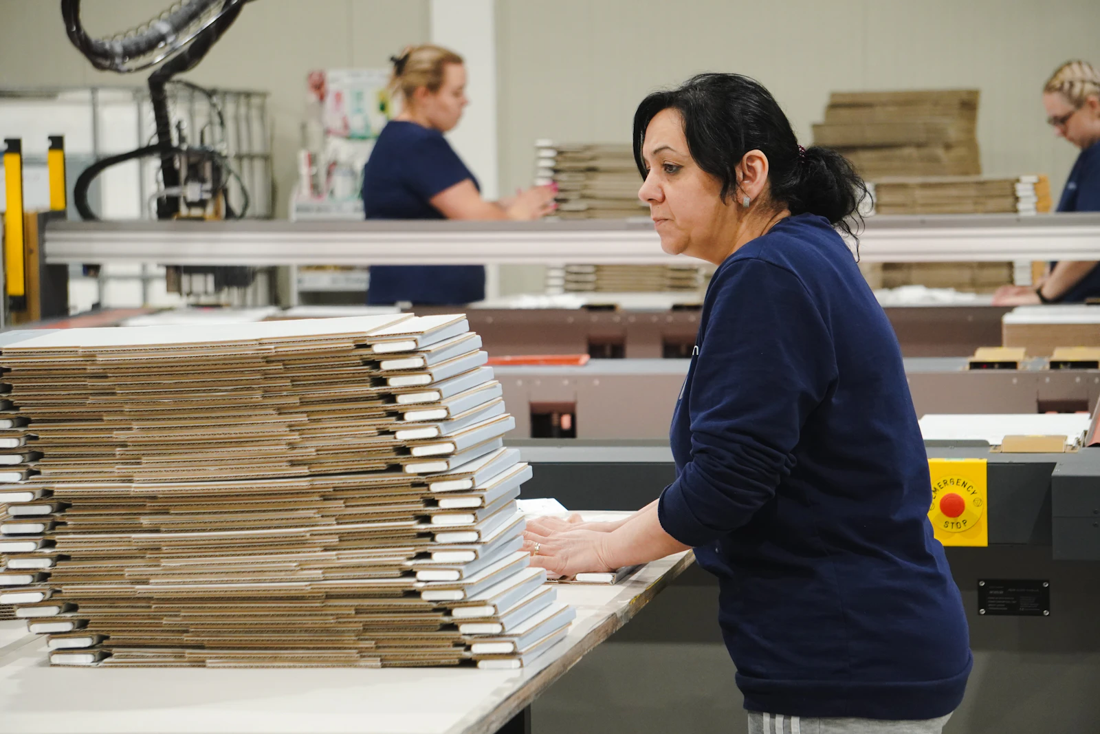 Worker assembling cartons on a packaging factory line