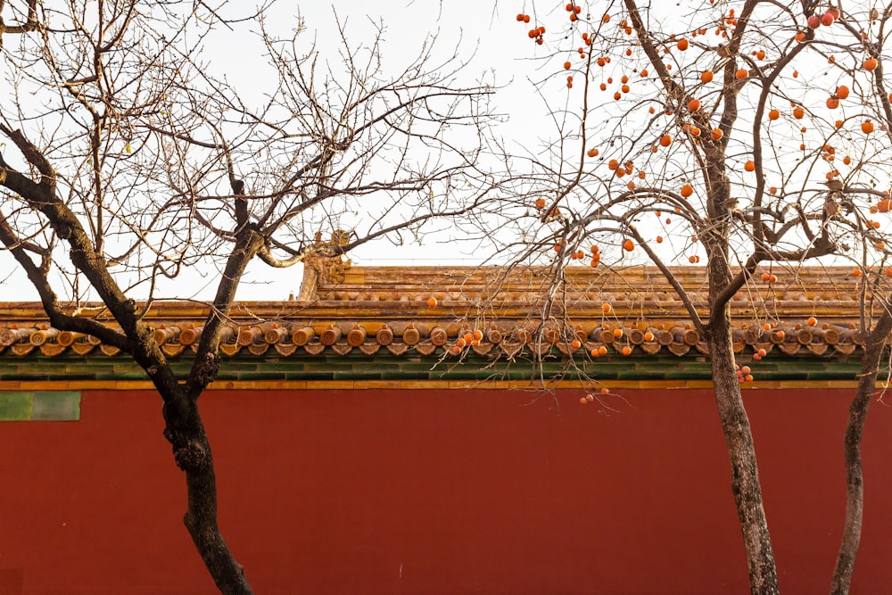 a red building with a tree in front of it