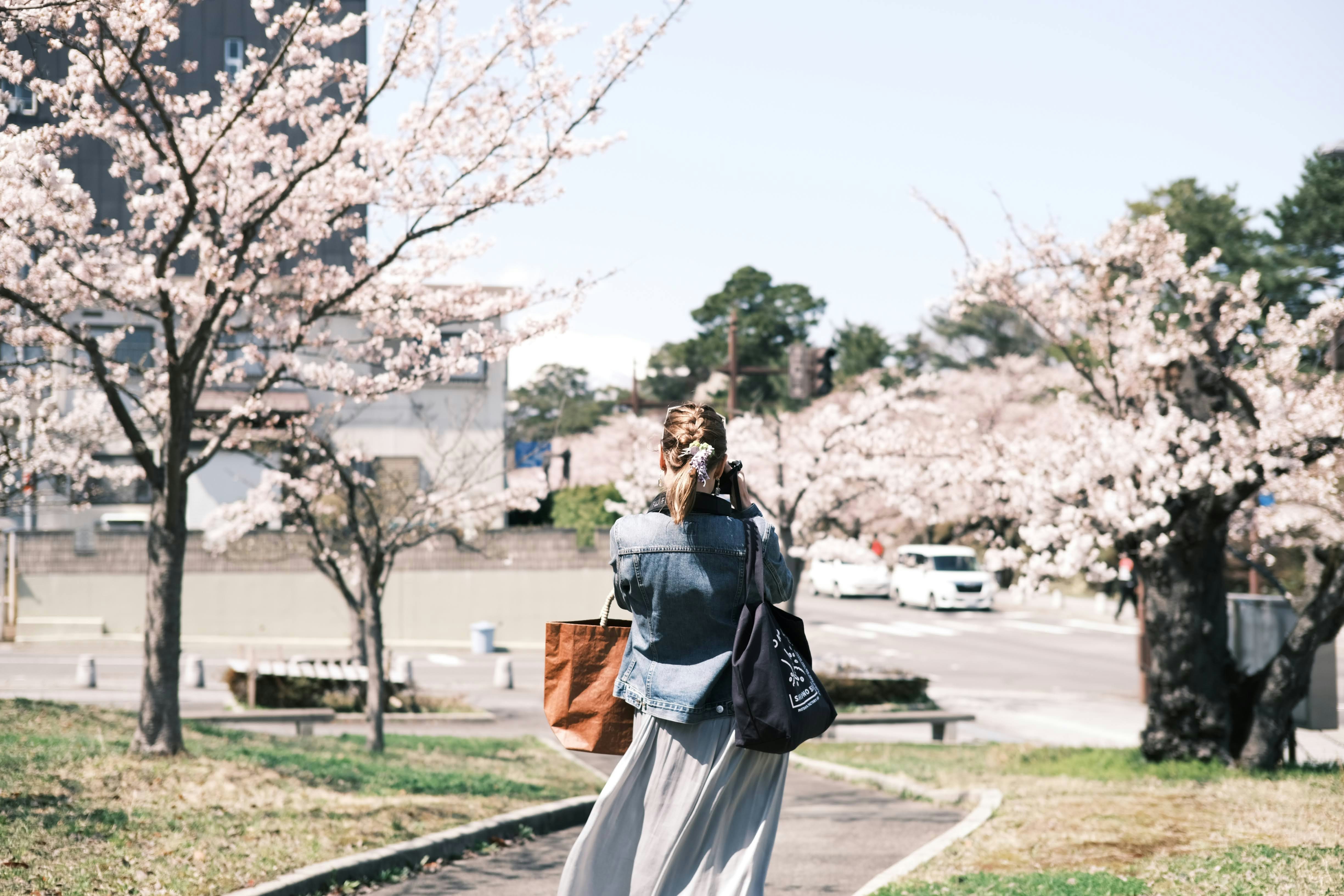 Photo by seiya_maeda