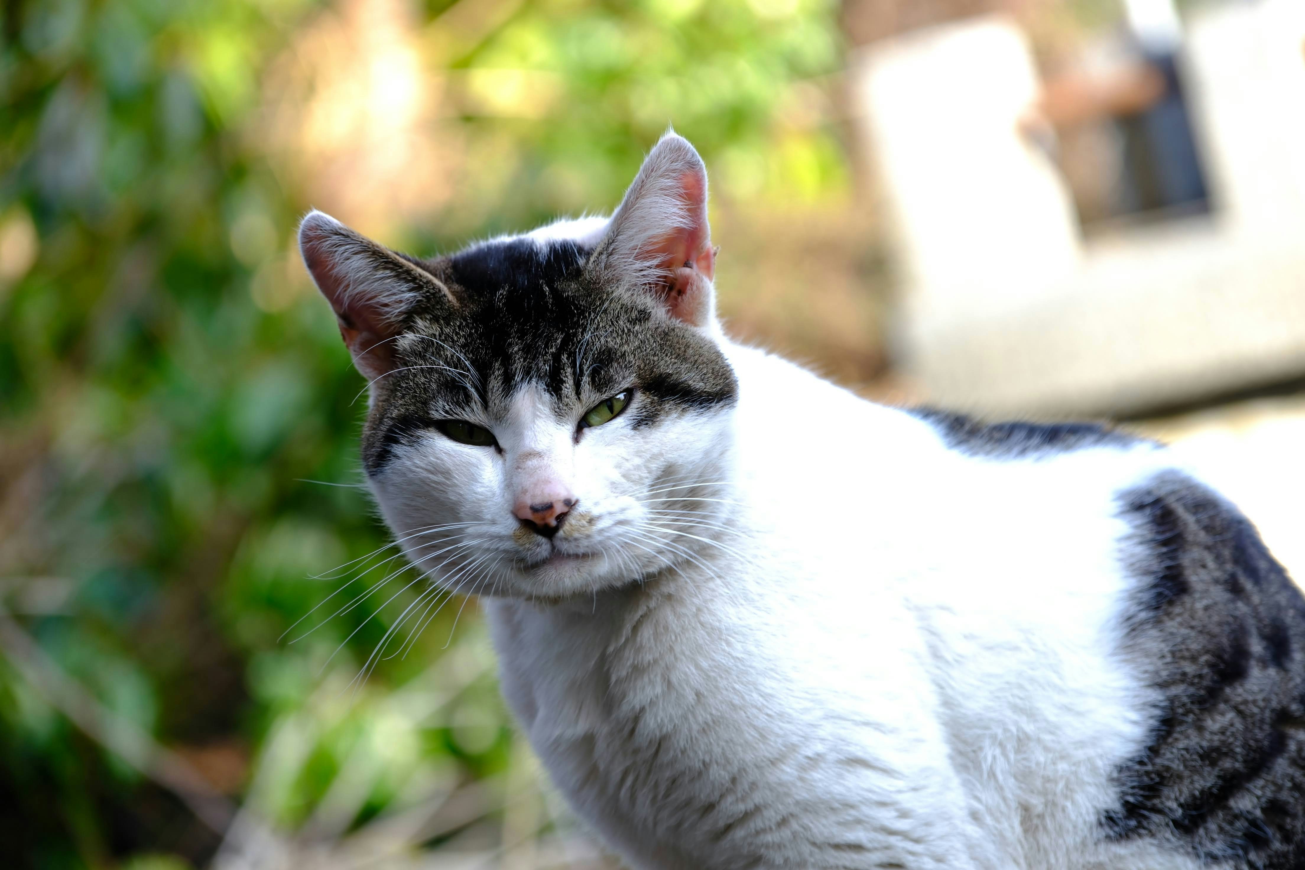 Photo by seiya_maeda