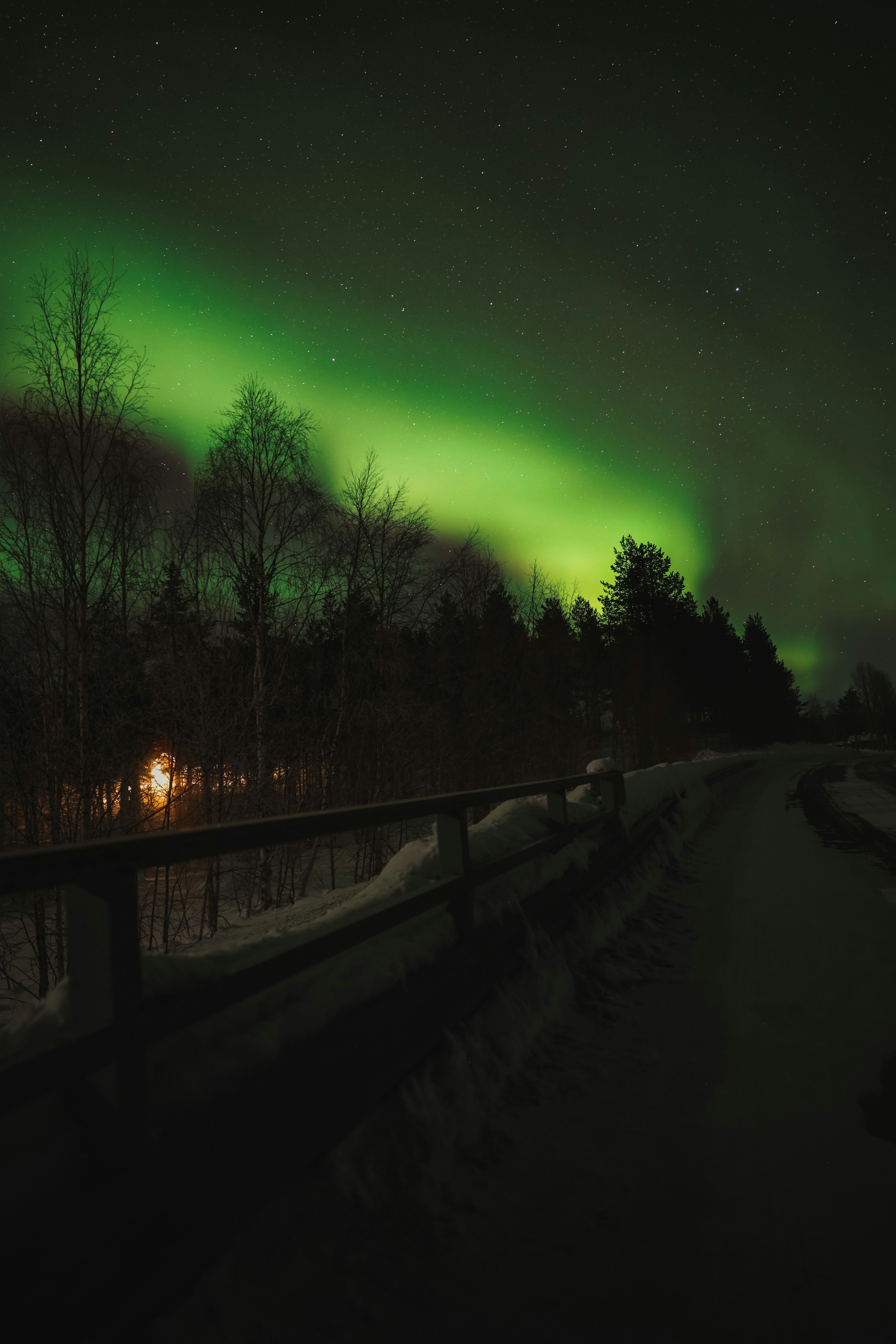 a green and black aurora over a snowy road