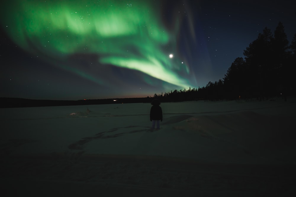 Una persona parada en la nieve bajo una aurora verde