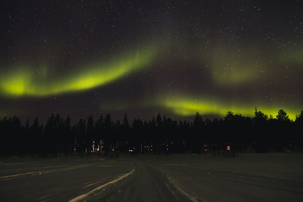 a green and yellow aurora bore in the night sky