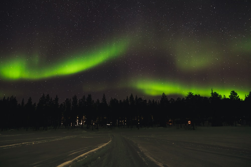 the aurora bore is shining brightly in the night sky