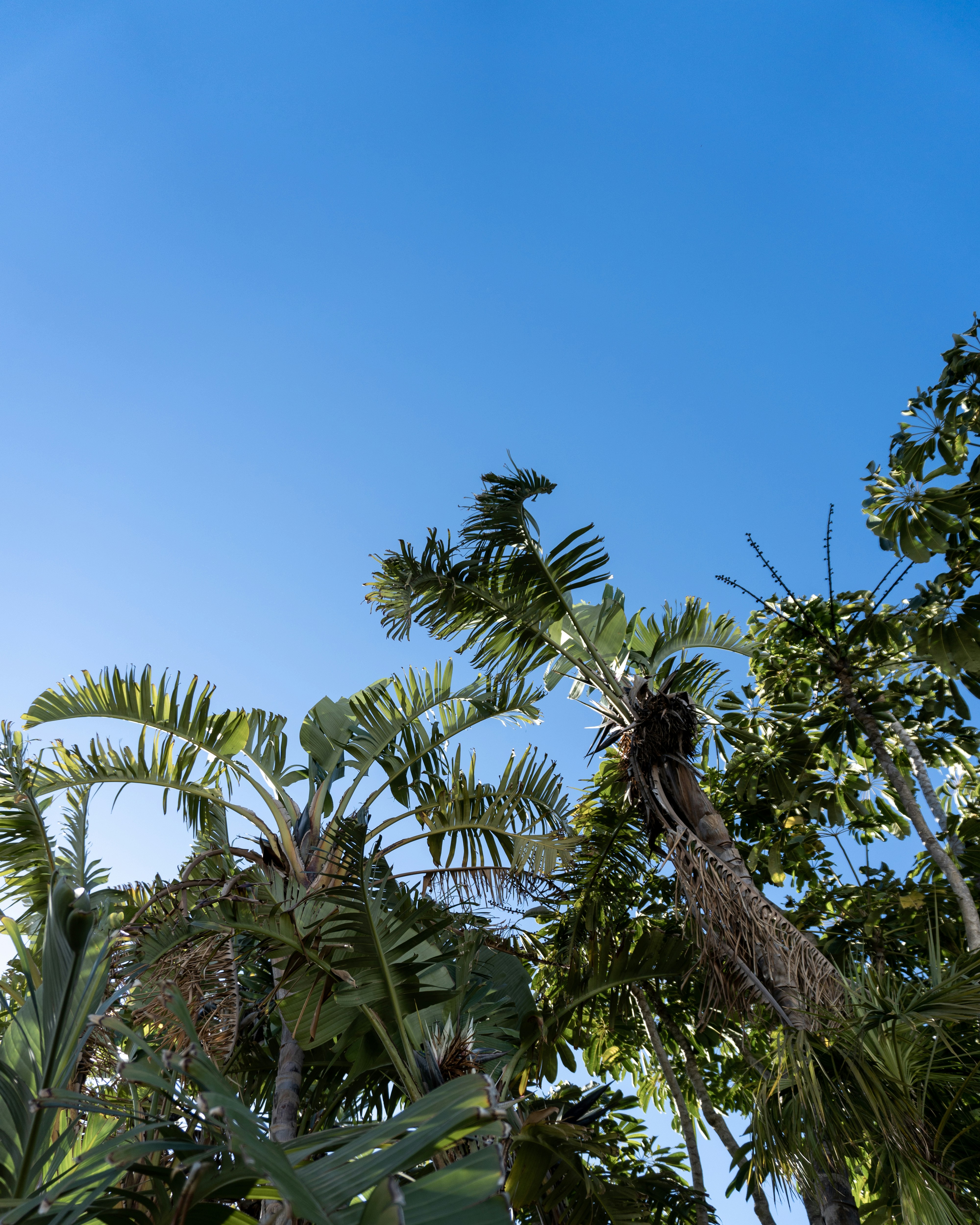 Photo by alemvisuals