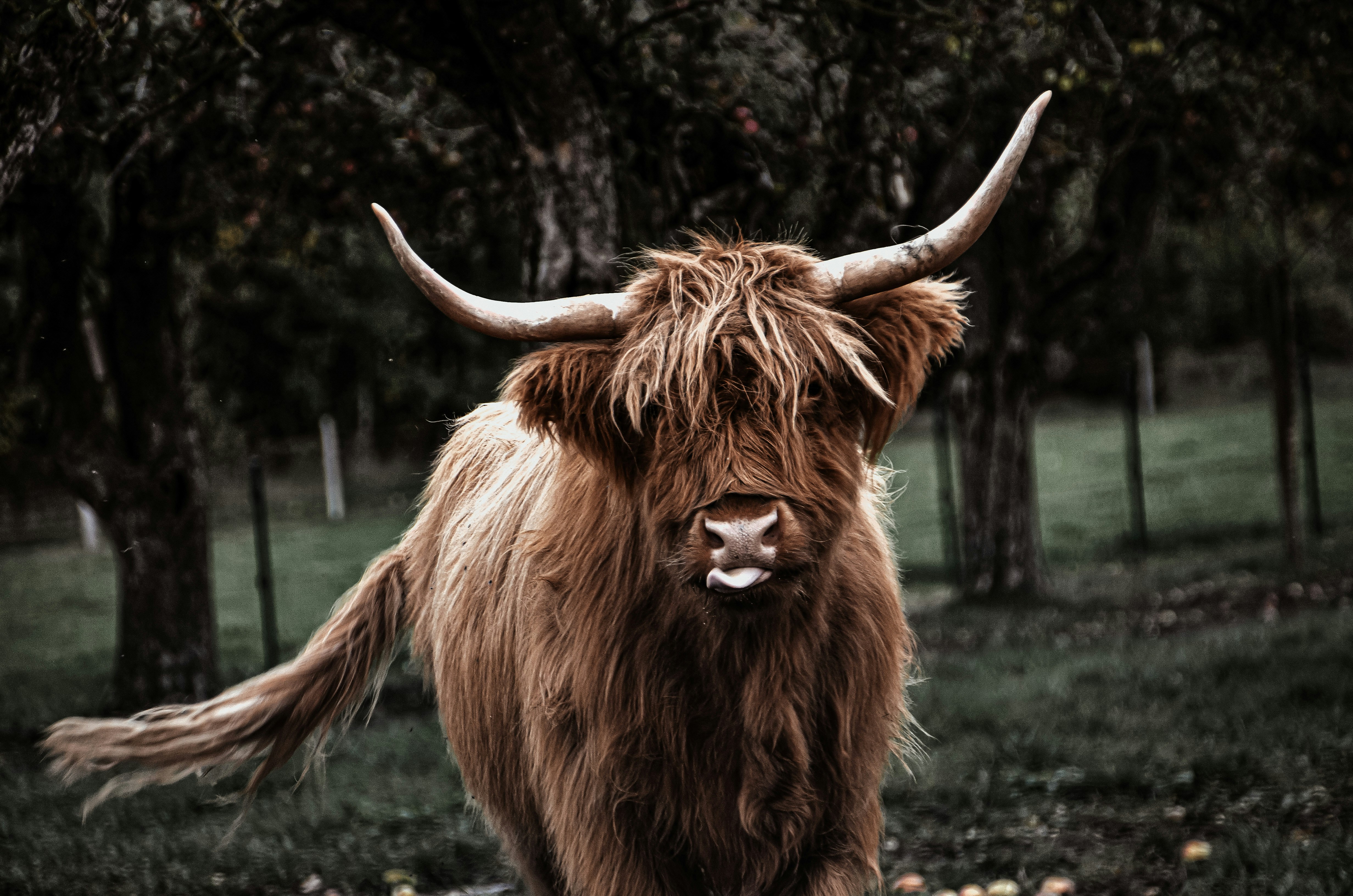 Photo by egalschillerwardichter