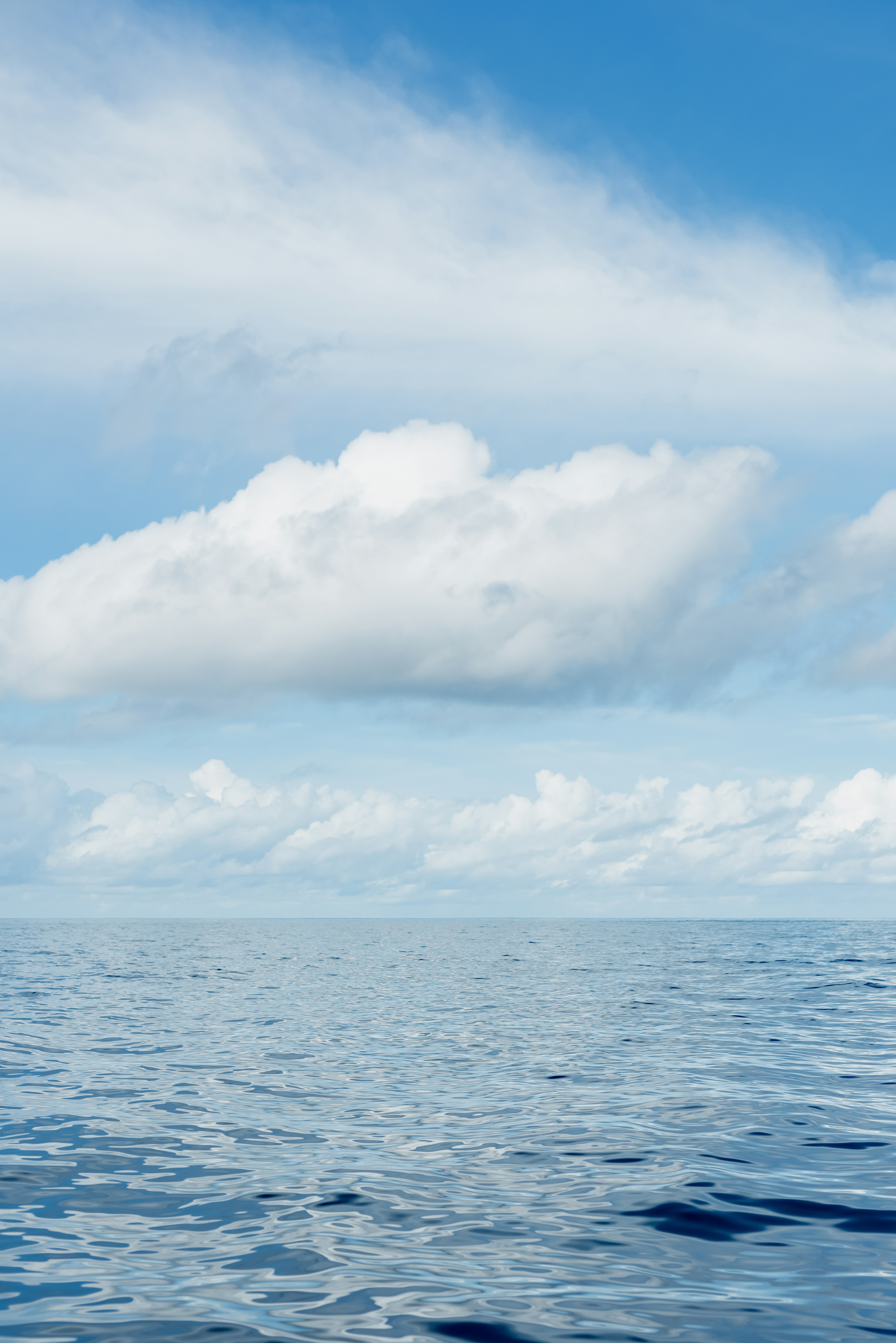 Photo by lauraadaiphoto