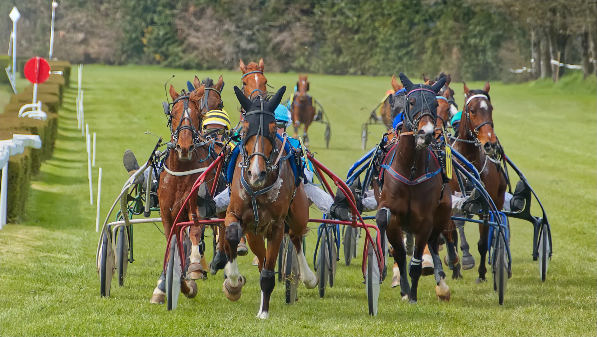 Royal Ascot