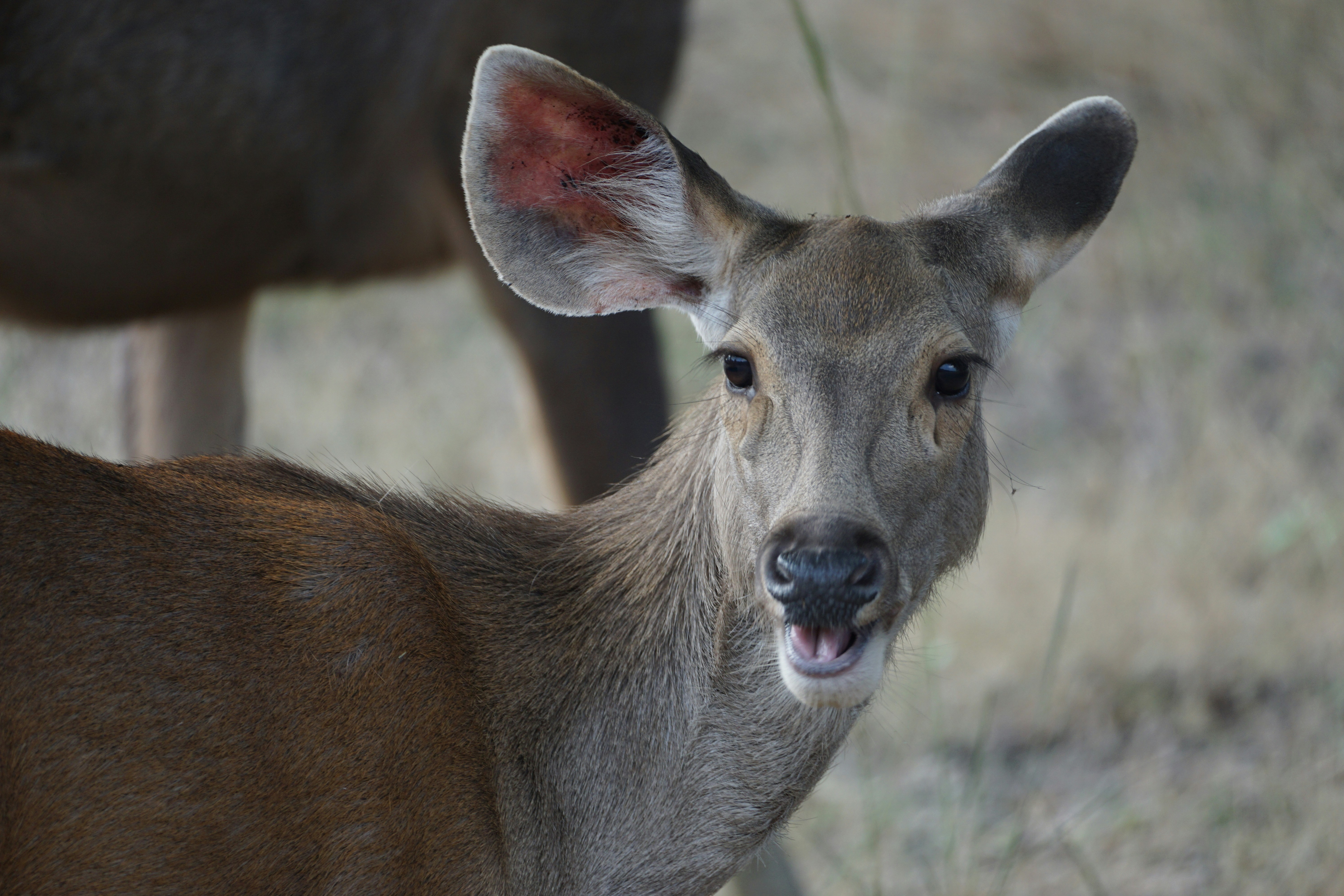 Photo by aryatulsyan