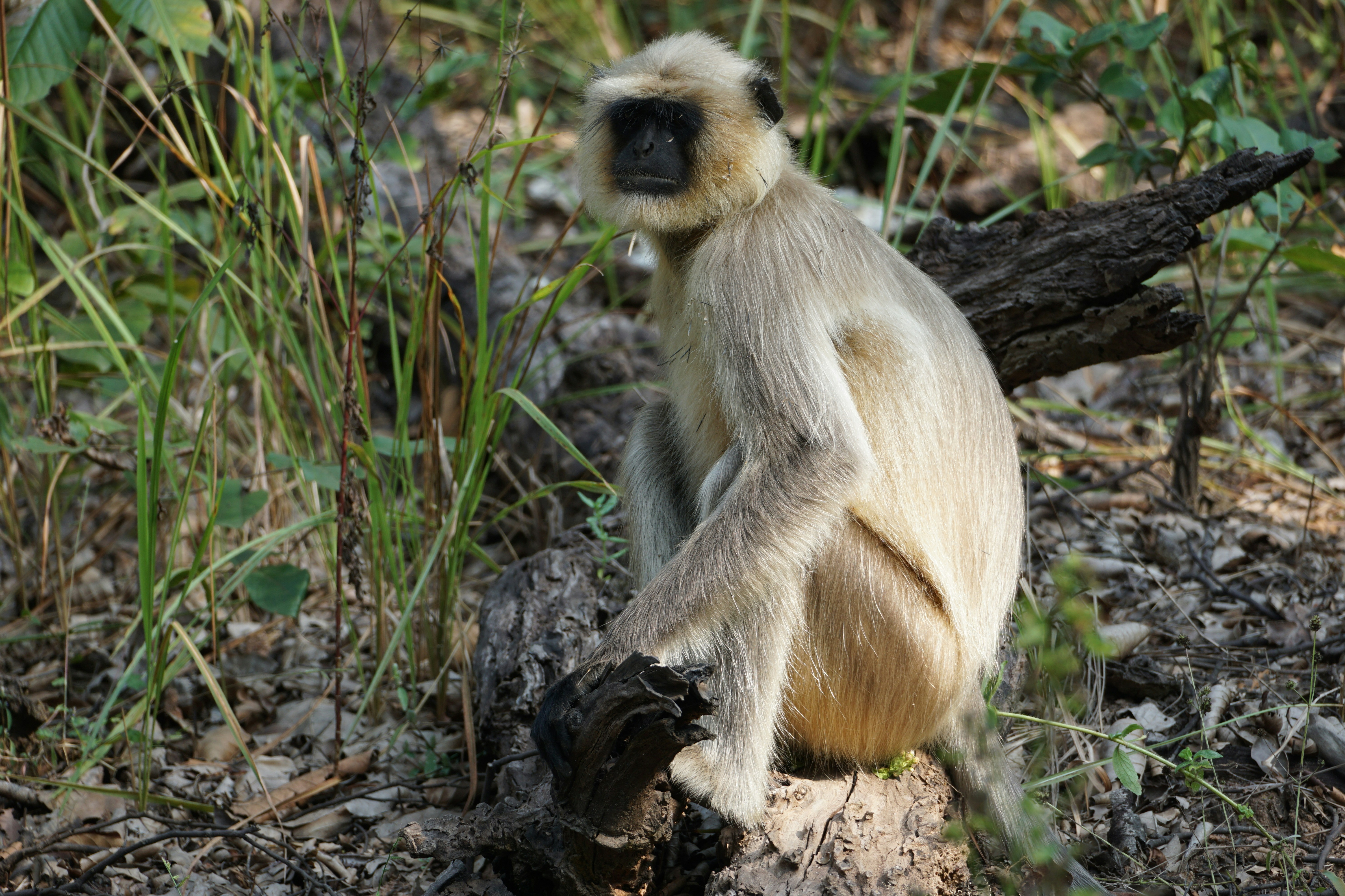 Photo by aryatulsyan