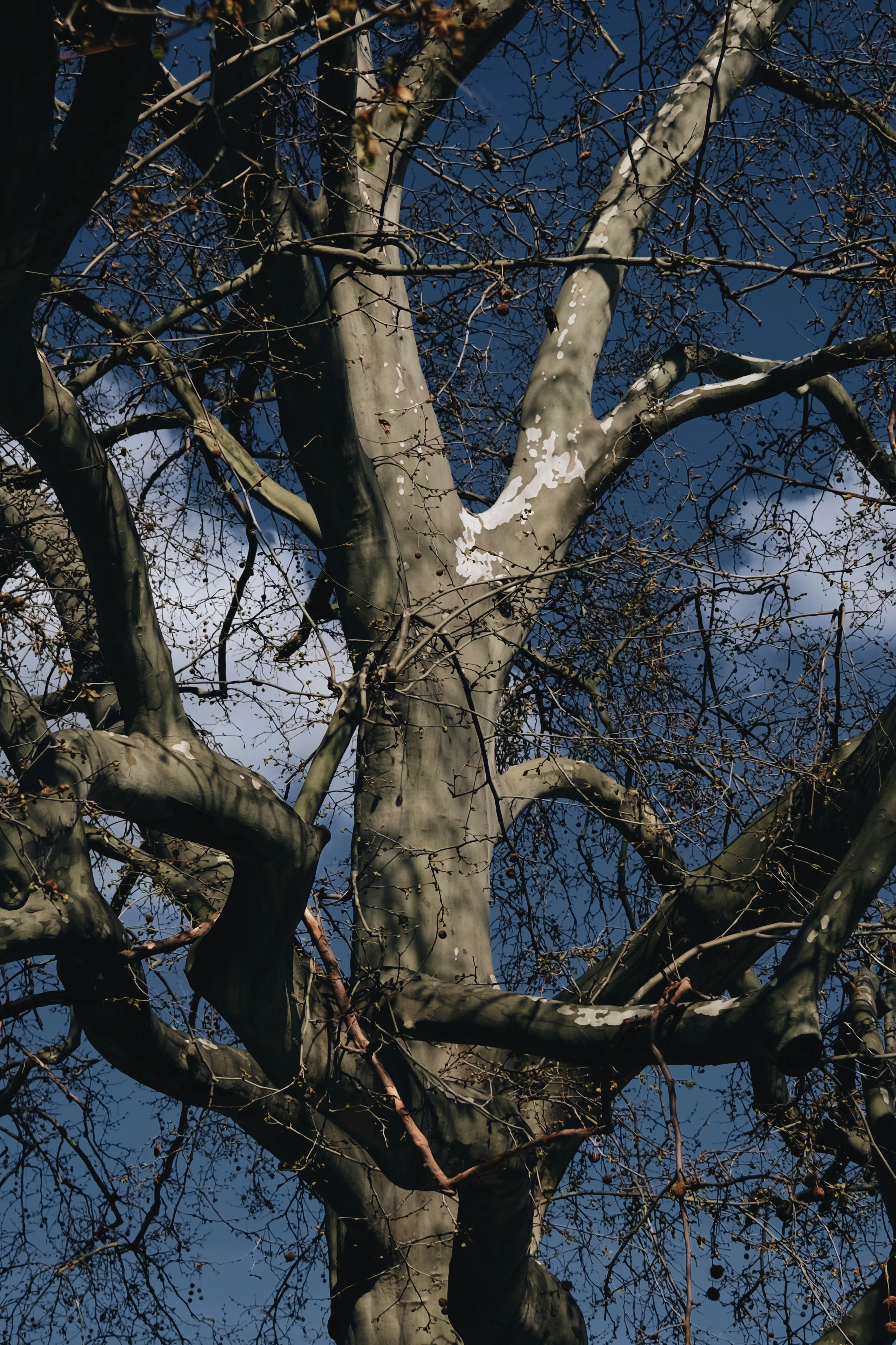 Photo by cherenkevich