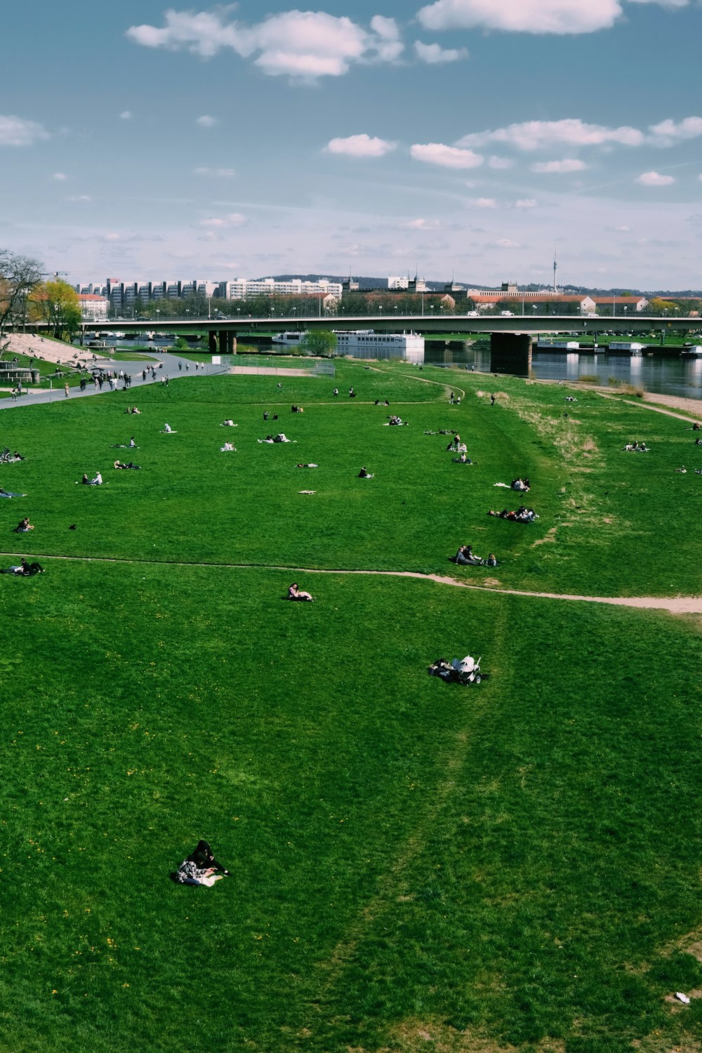 a field of green grass with a bridge in the background