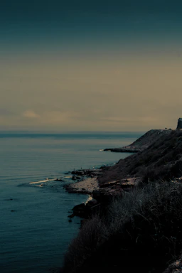 A serene southern Chilean coastline with cold winds sweeping over the Magellanic landscape.