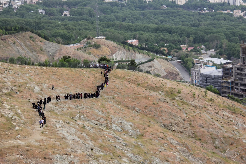 a group of people walking up a hill