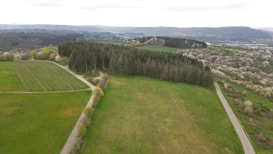 Aerial view of a lush, green landscape featuring rolling fields and dense clusters of coniferous trees. A winding road intersects the fields, leading towards the horizon where more forested areas and hills are visible. The sky is overcast, adding a muted tone to the scene.
