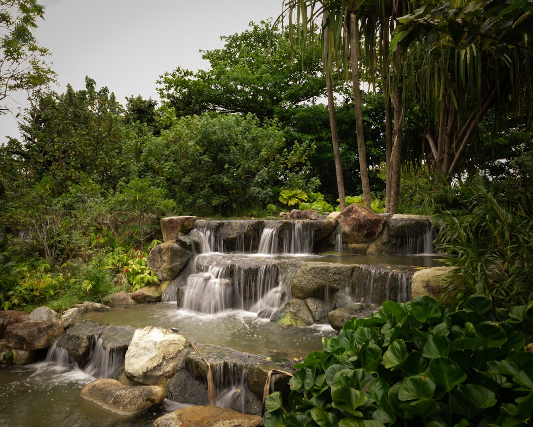 a small waterfall in the middle of a lush green forest, Small waterfall surrounded by green plants and trees in the gard