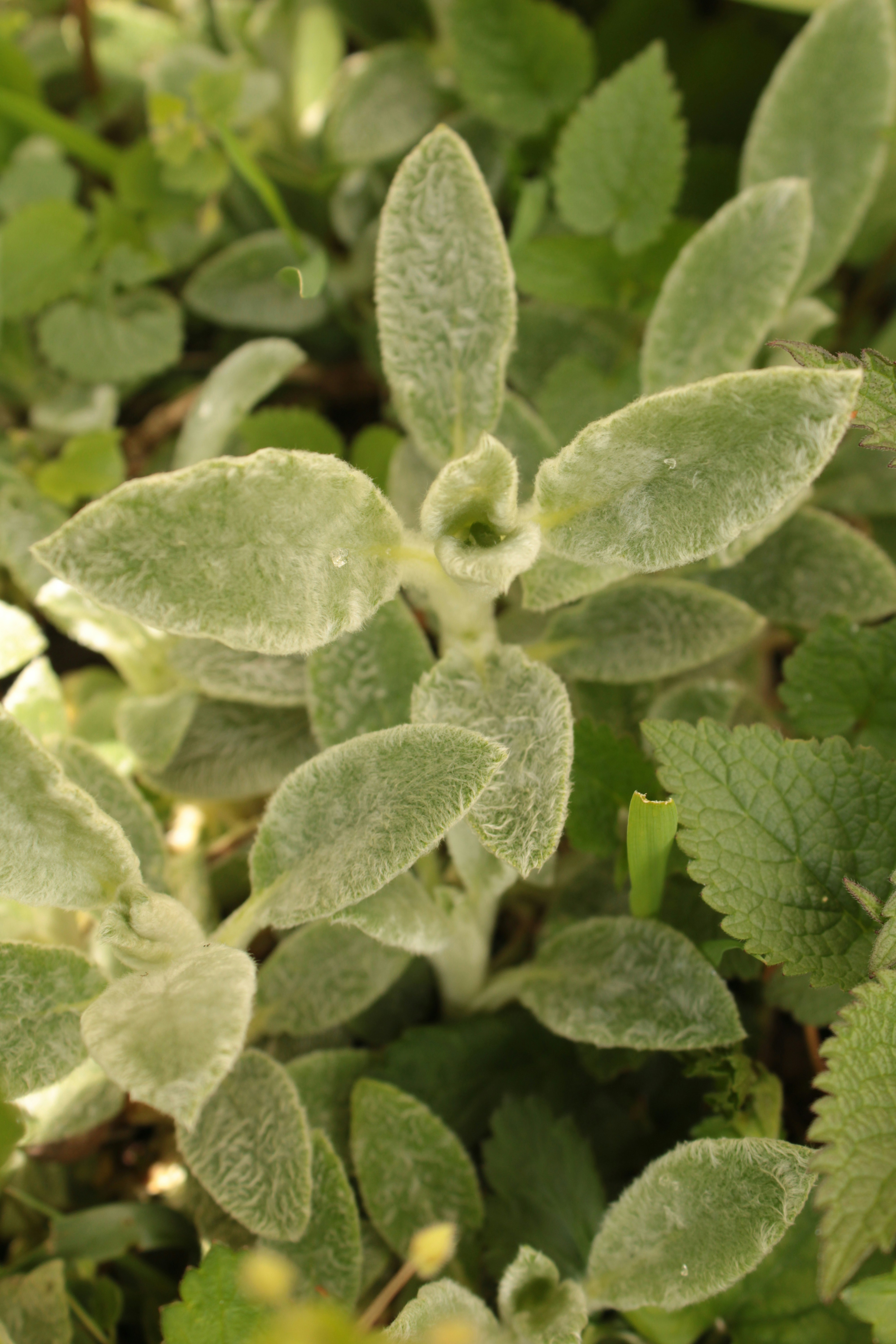 Photo by thorai9akira