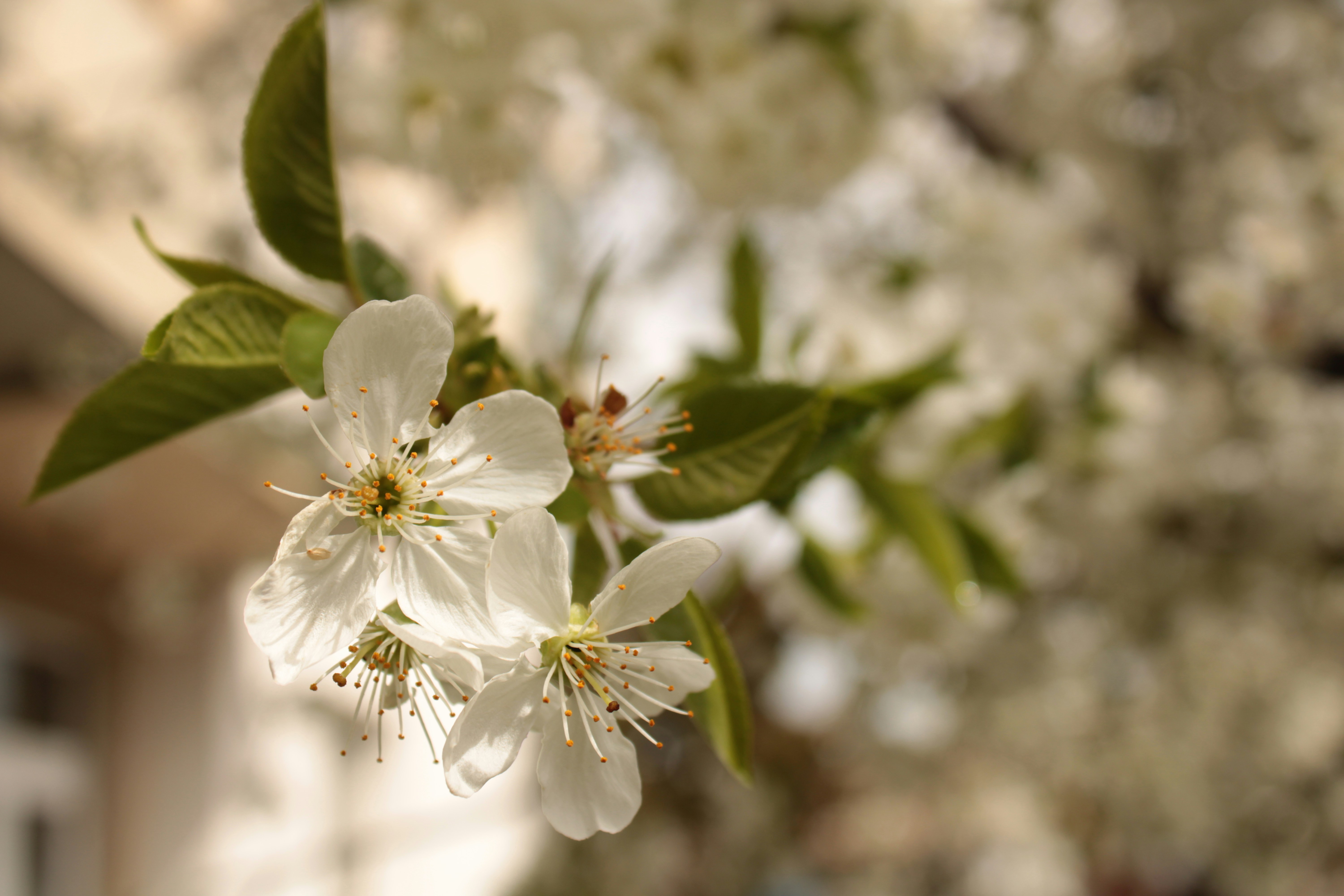 Photo by thorai9akira