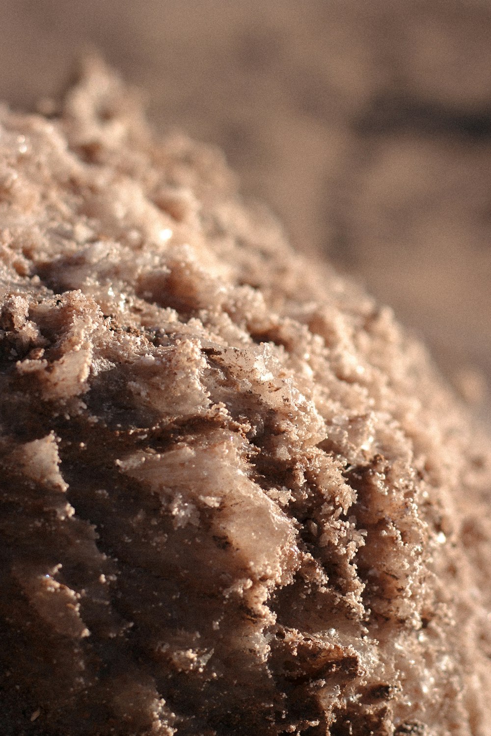 a close up of a piece of food on a table