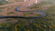 Aerial view of the Everglades showcasing winding waterways and lush greenery.