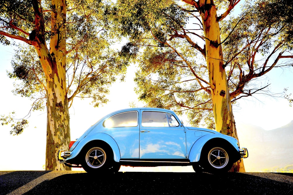 a blue vw bug parked in front of some trees