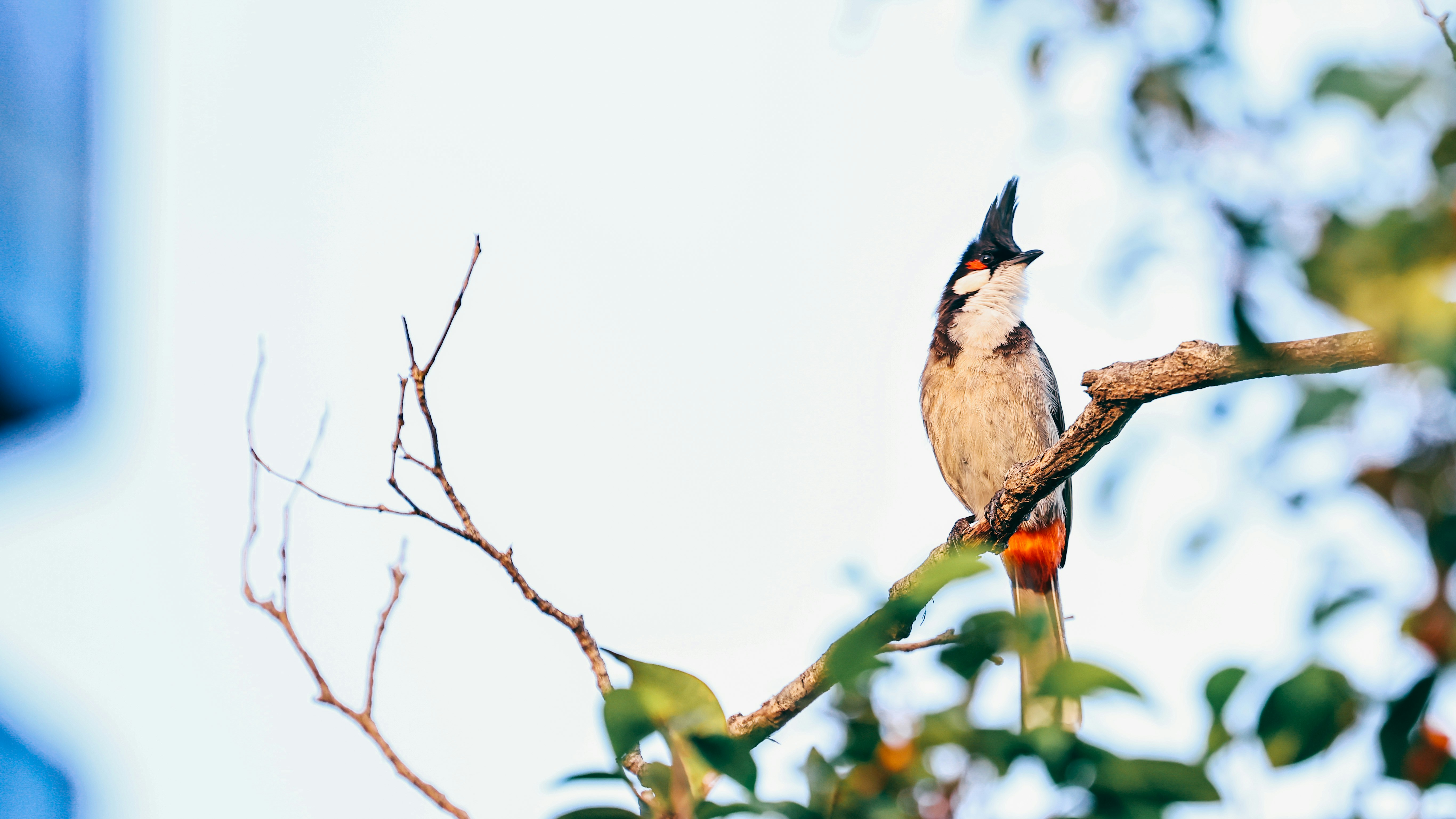 Photo by dickenslin76