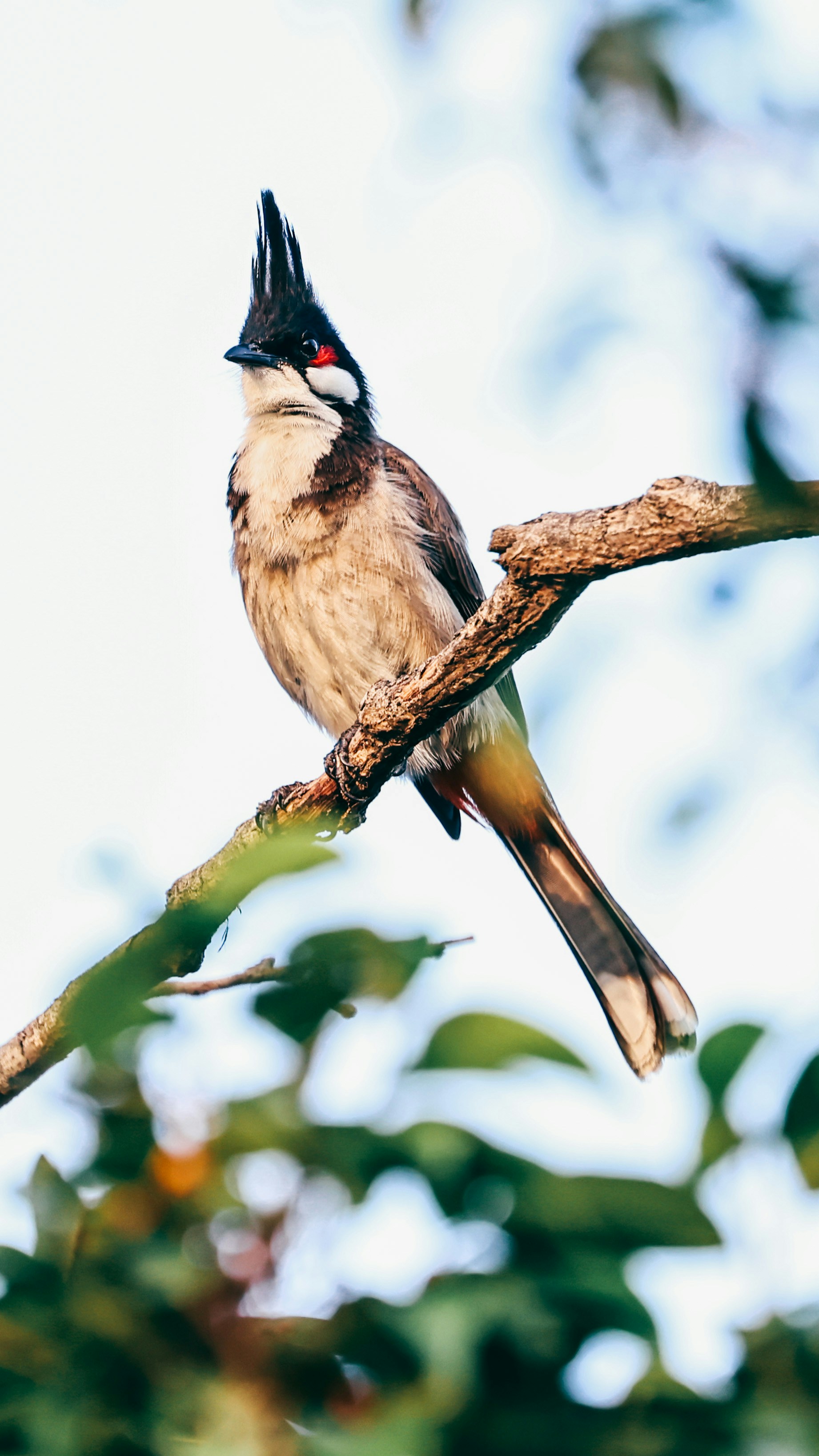 Photo by dickenslin76