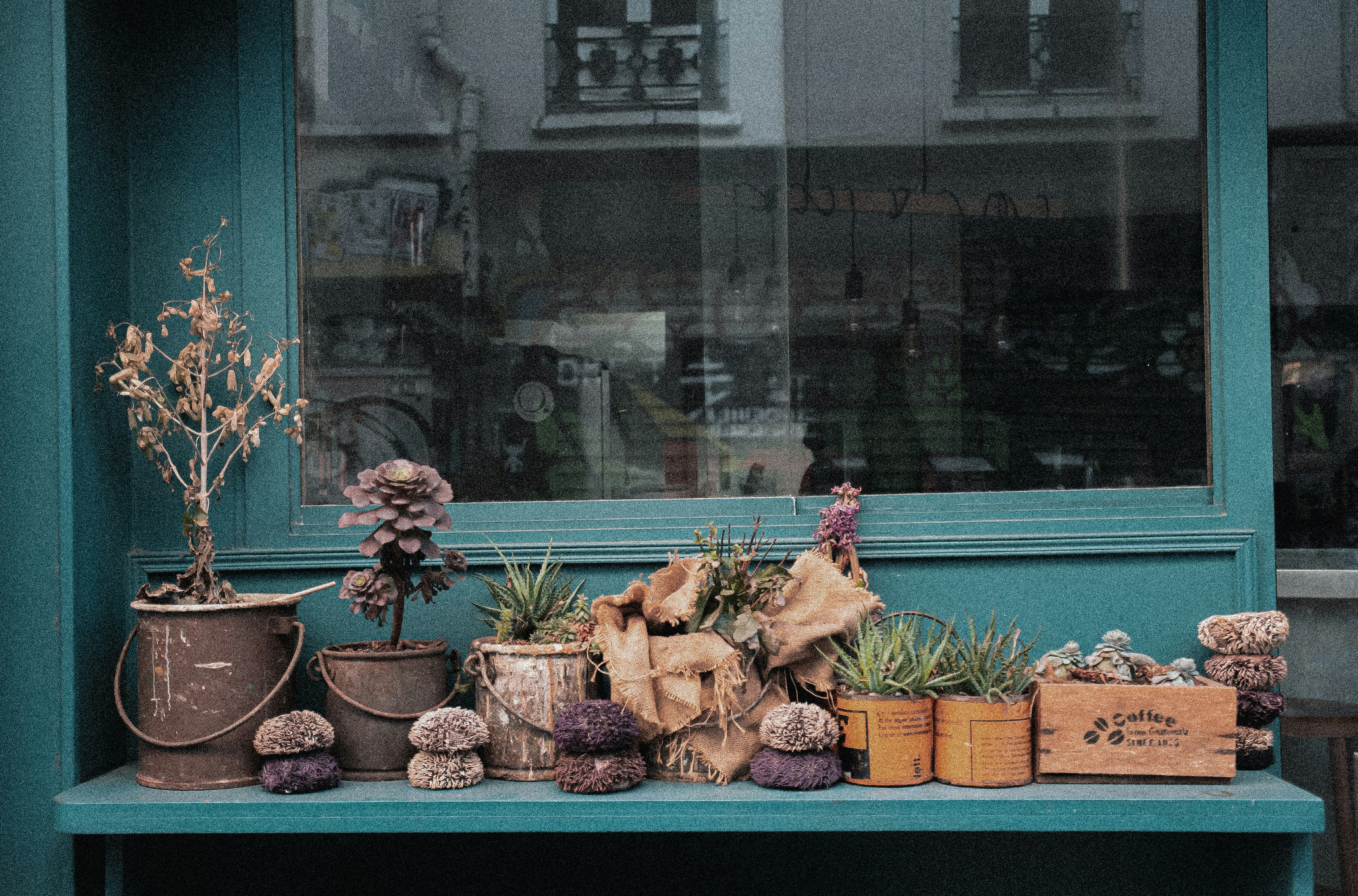 Photo by prachi30gautam