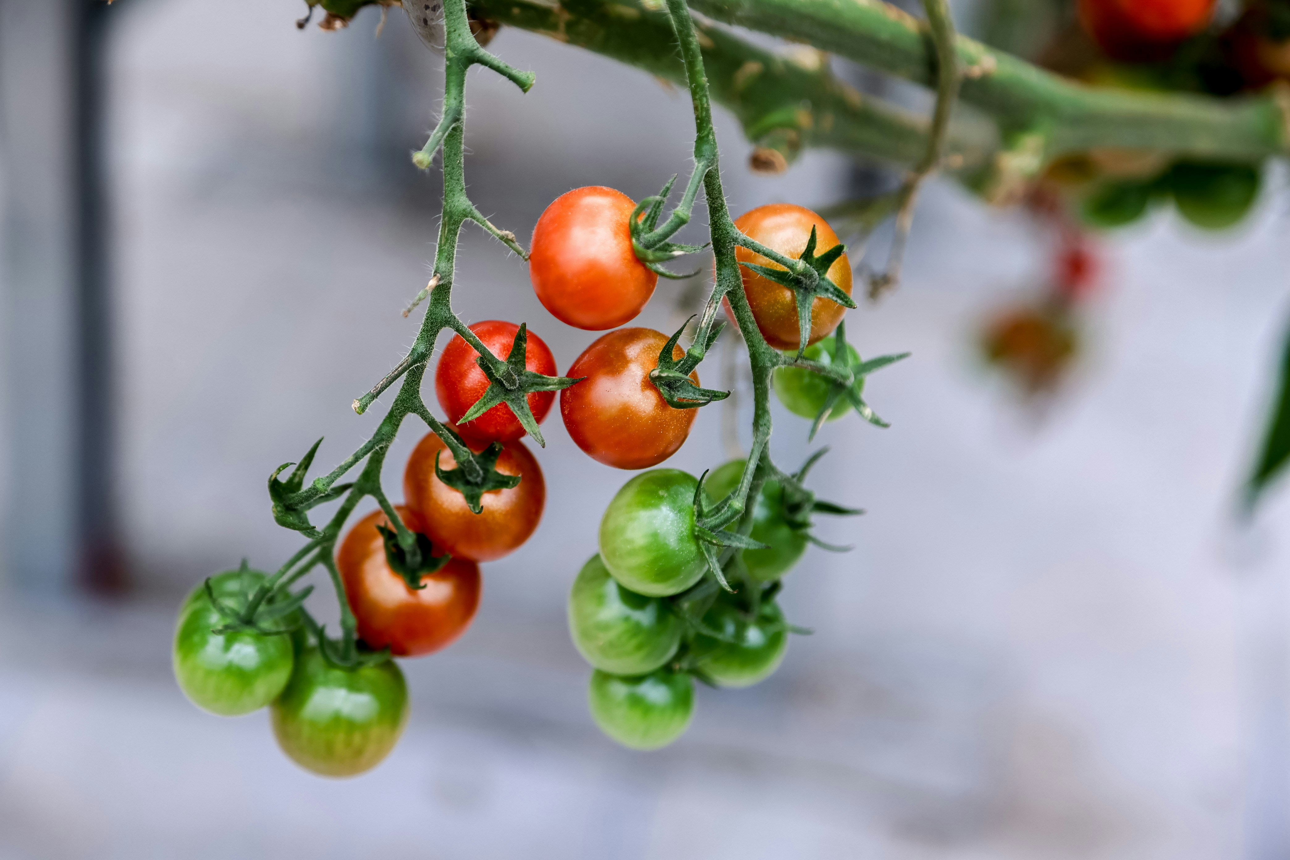 Photo by dickenslin76