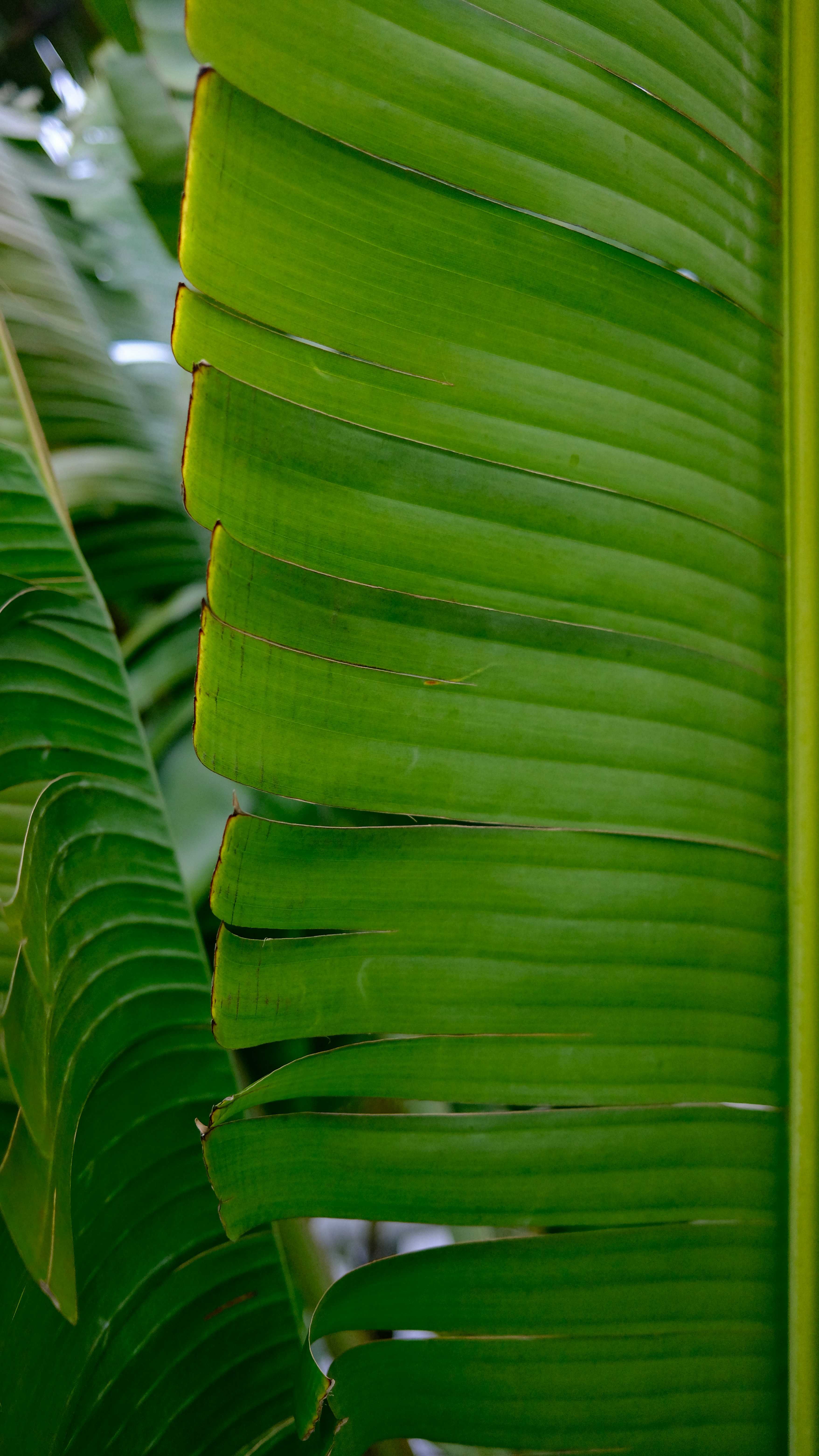 Photo by dickenslin76