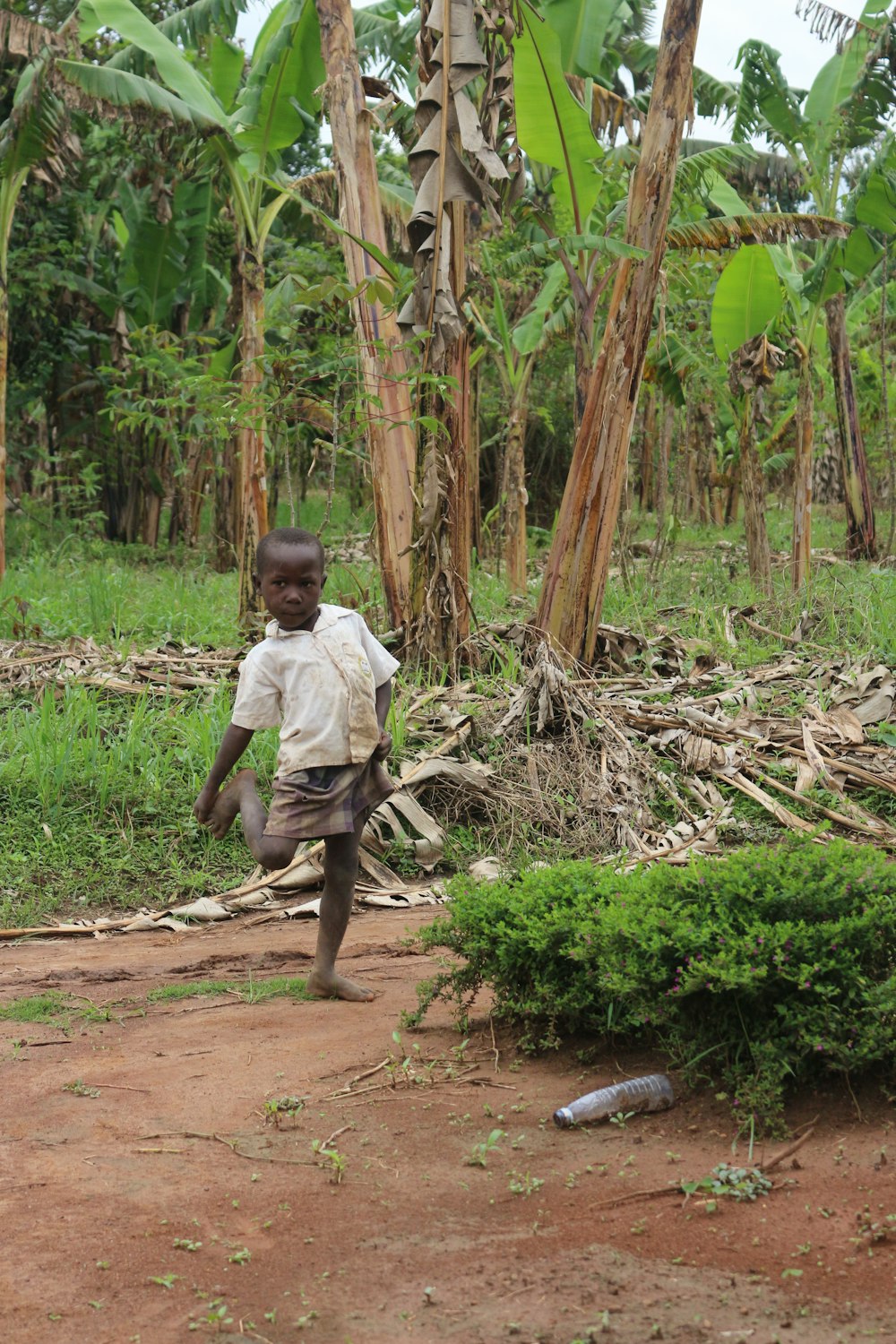 a young boy walking across a dirt road