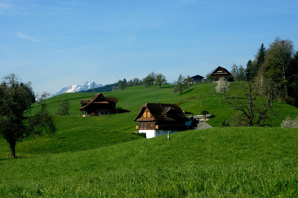 a green hillside with a few houses on it