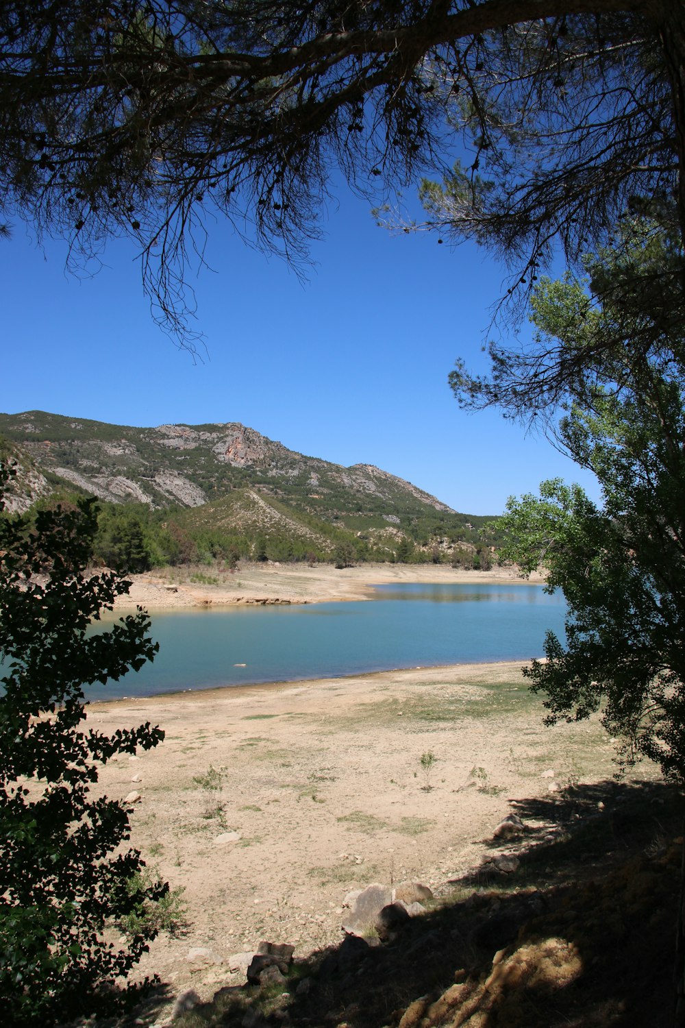 a large body of water surrounded by trees