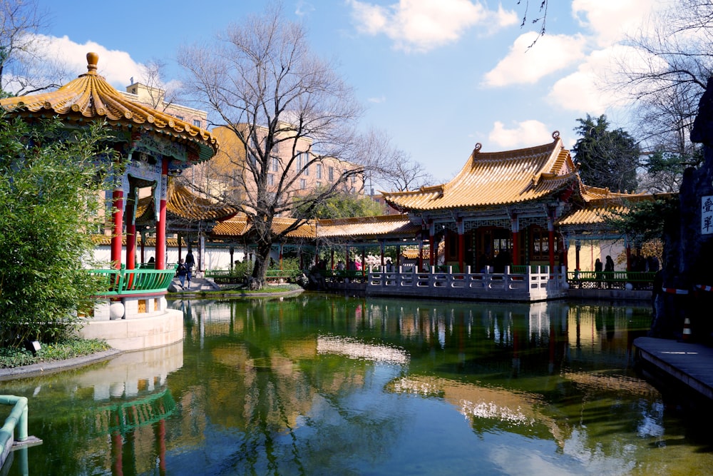 a pond in front of a building with a golden roof